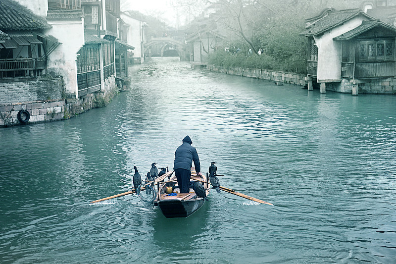 《边城》构思精妙：鸭子、渡口、河流、祖孙情
