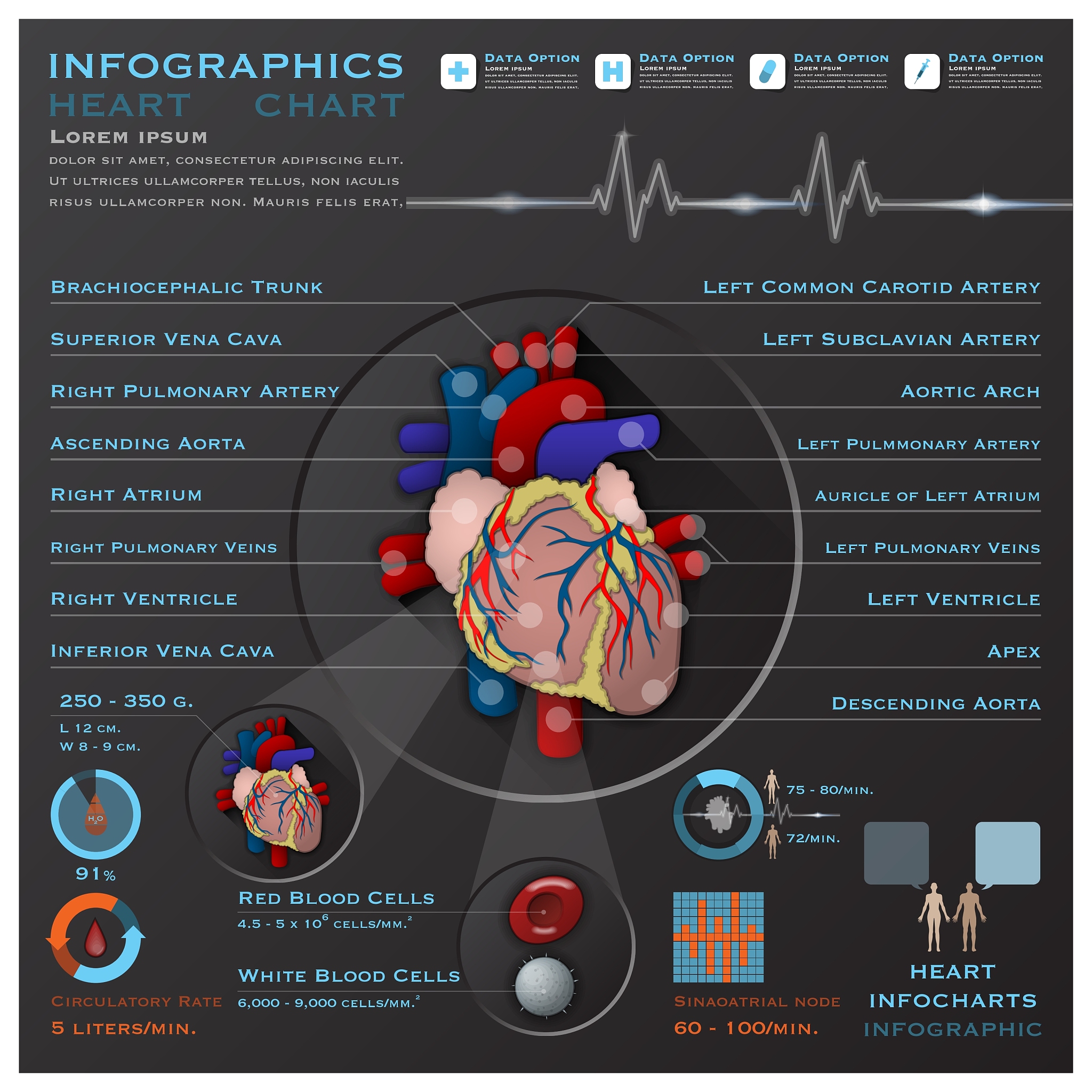 急性肾衰竭（AKI） - 症状、原因和治疗方法