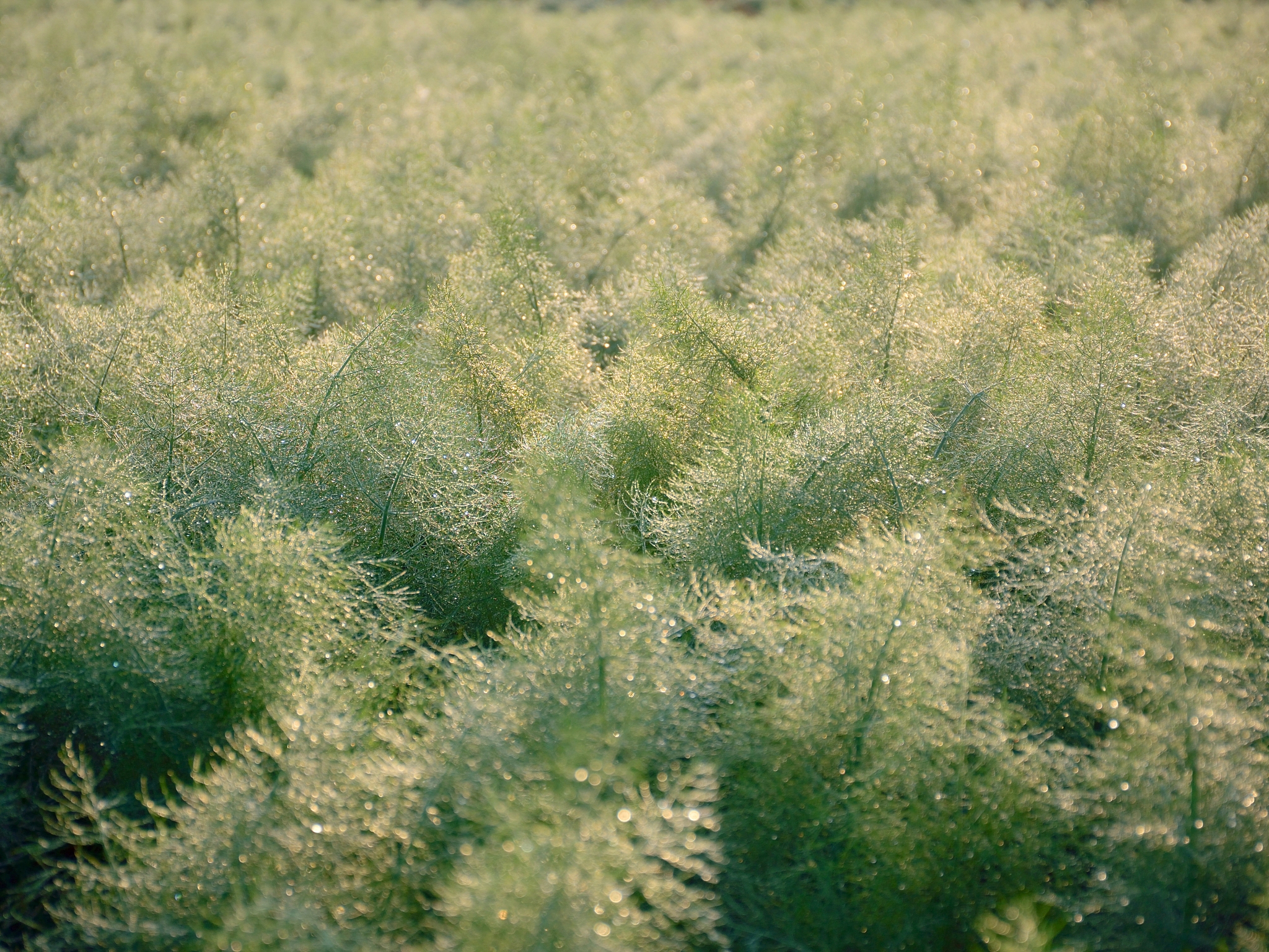 厦门2023中考男生适合的农学类专业有什么