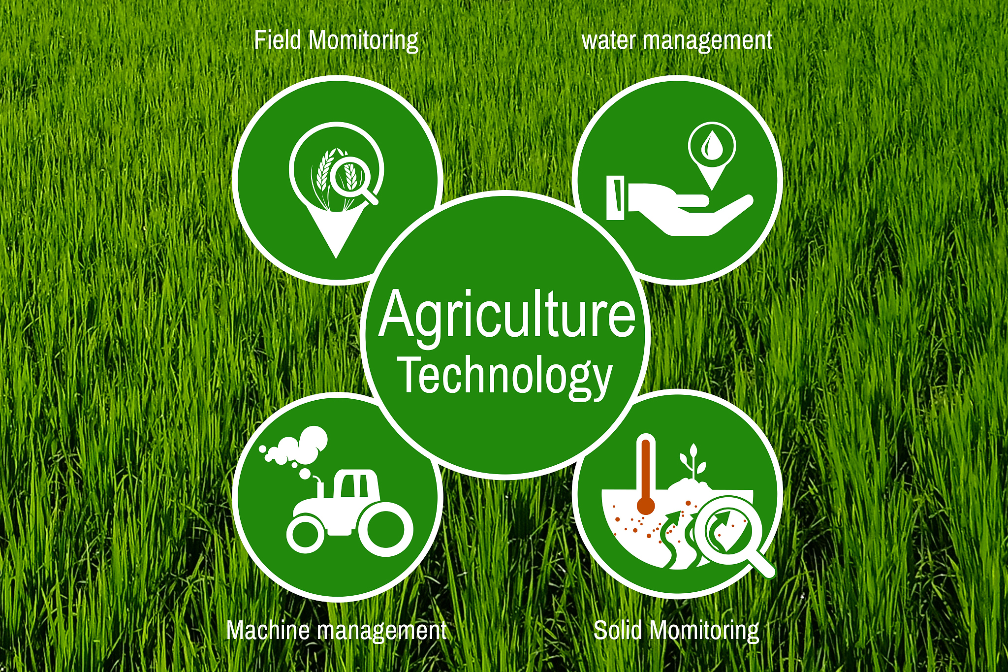 Nature Sustainability 期刊: 推动可持续发展研究与实践的国际平台