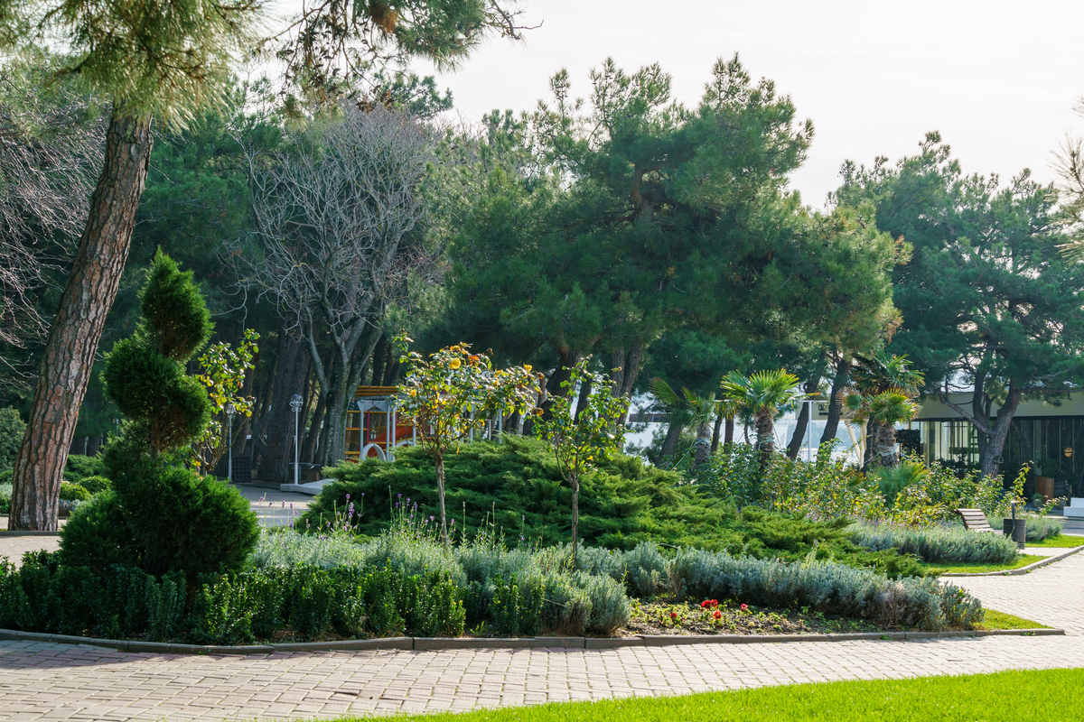 景观布置的重要性