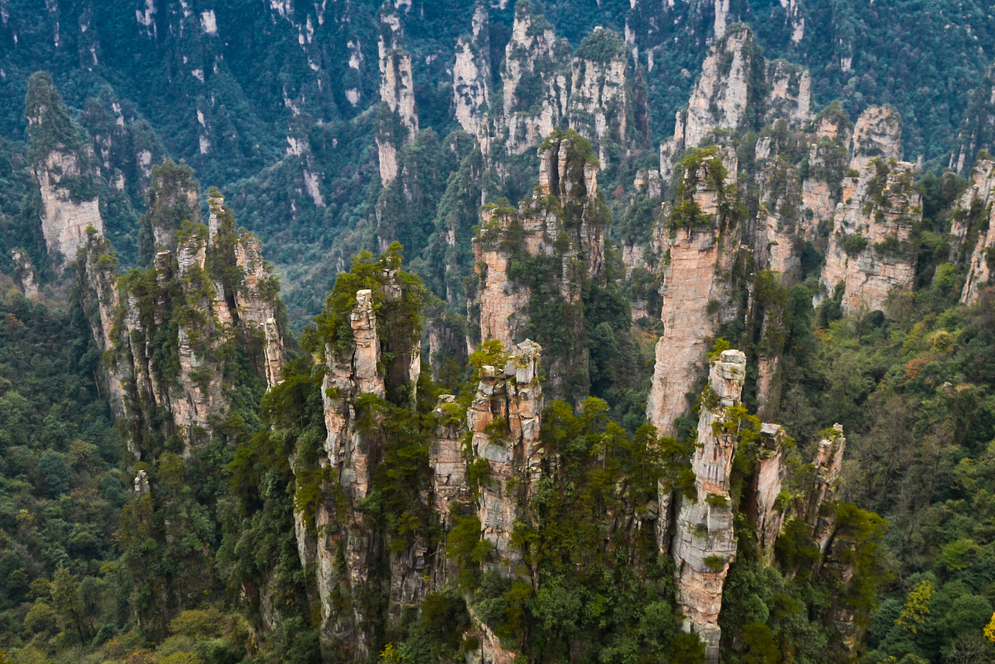 张家界航空工业职业技术学院酒店管理专业好就业吗