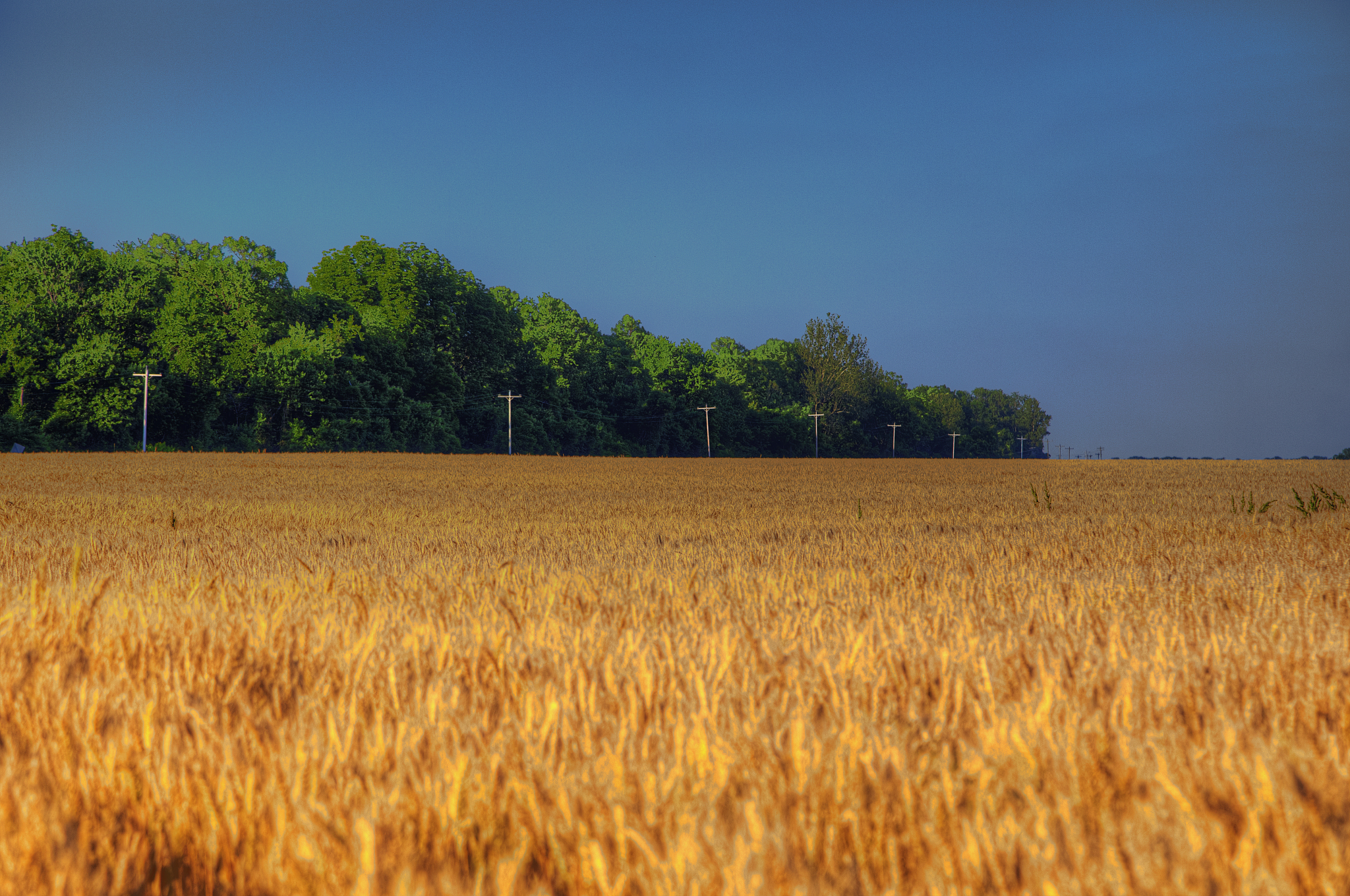 西部怪老头 - 游戏版本1.2.0更新公告