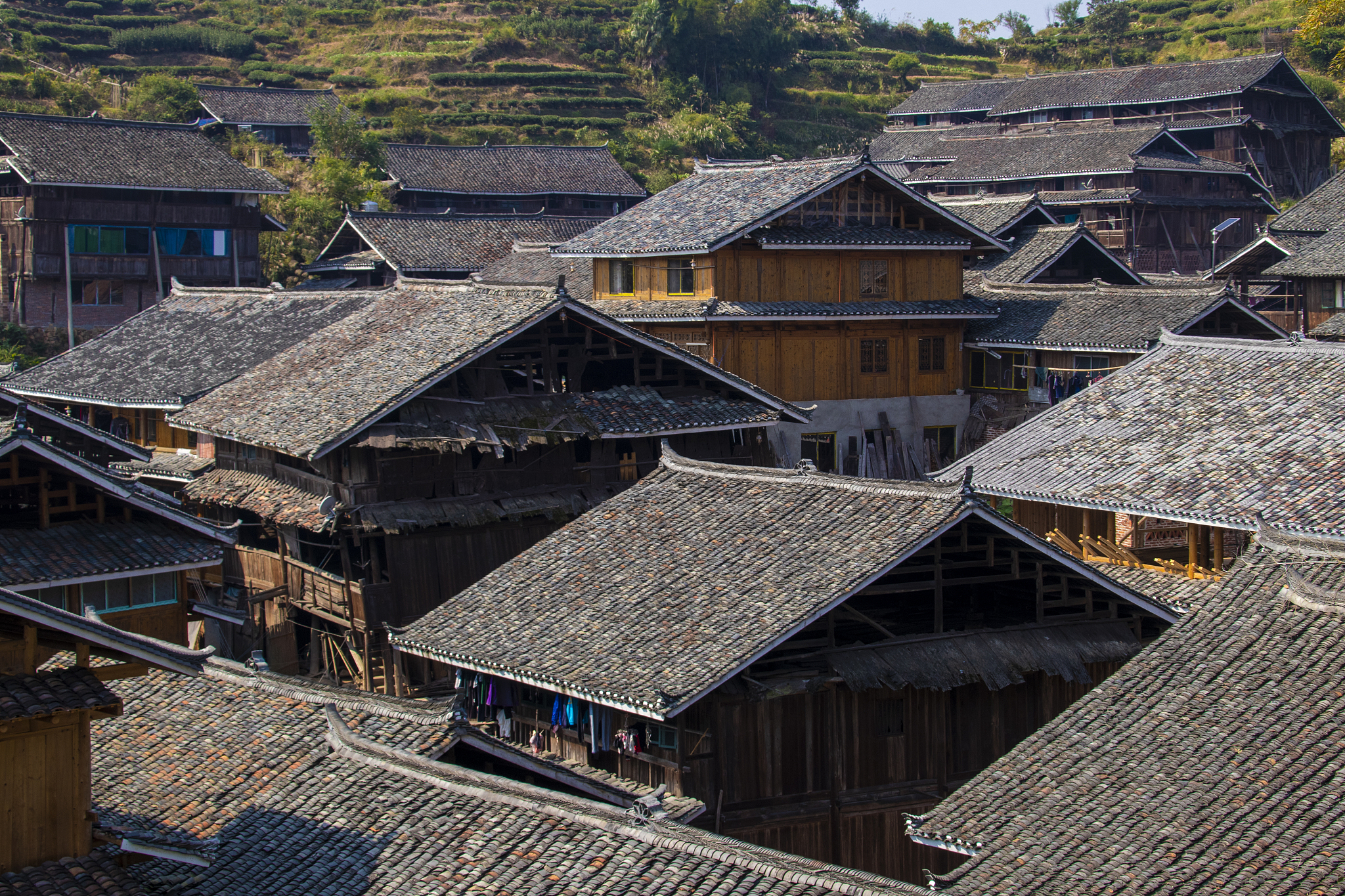 西江千户苗寨：传统文化助力乡村振兴，打造魅力乡村形象