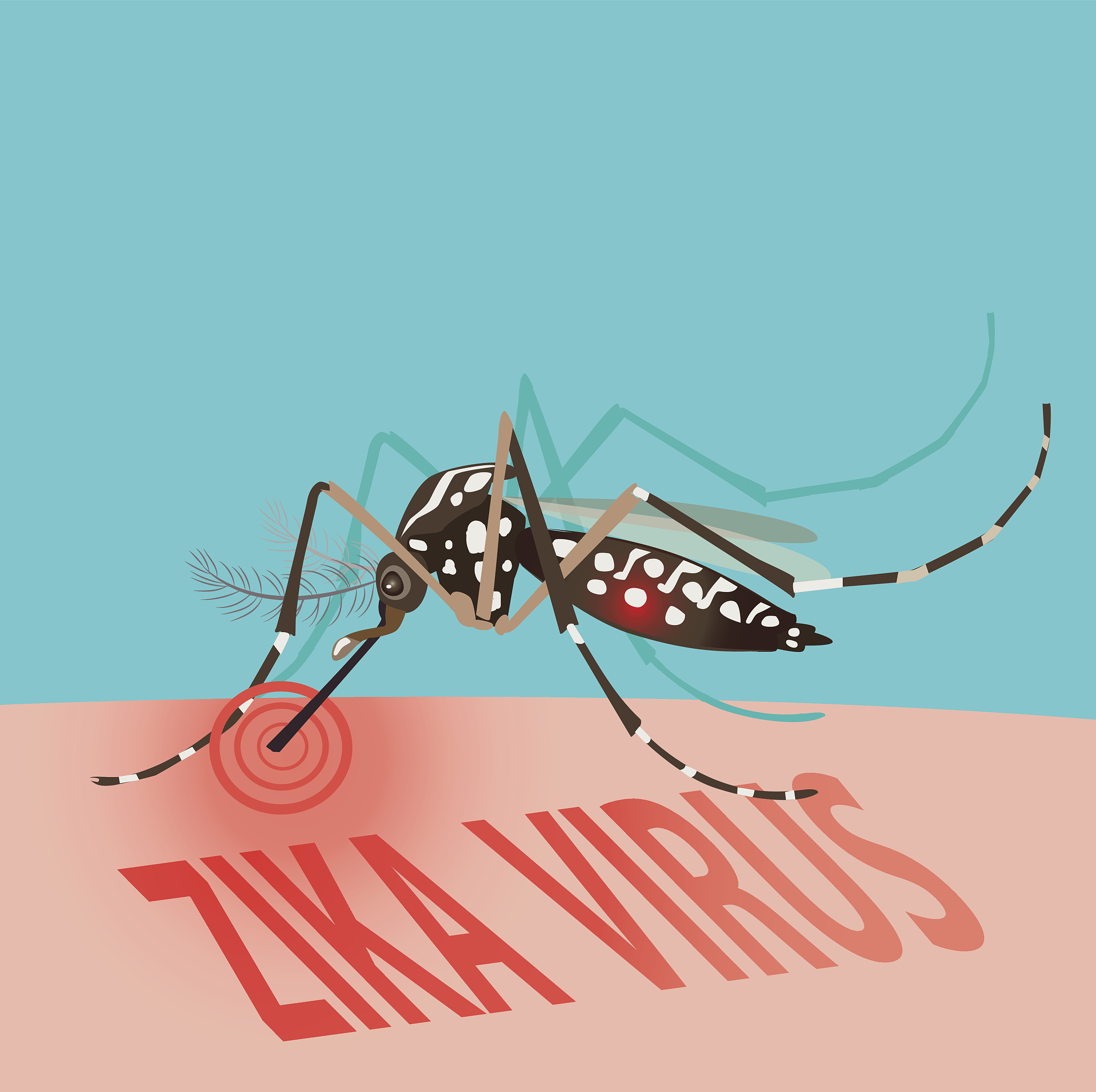 蚊子是昆虫吗？详细解答及防蚊措施