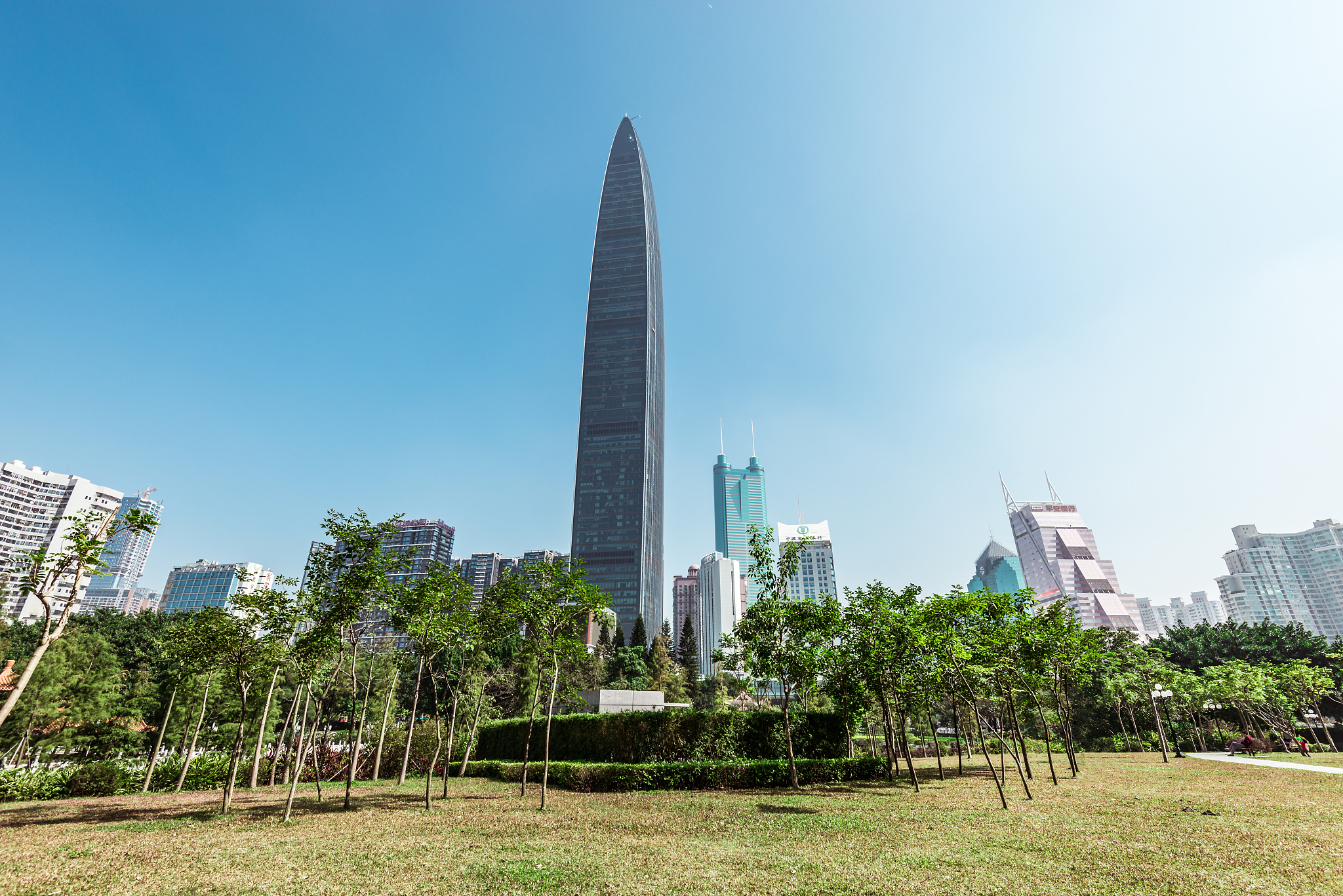 shenzhen skyline