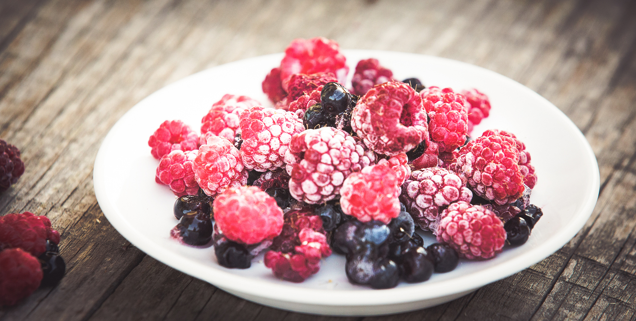 广东食品药品职业学院好不好用