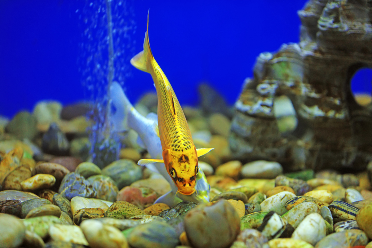 涉海资源共享平台包括