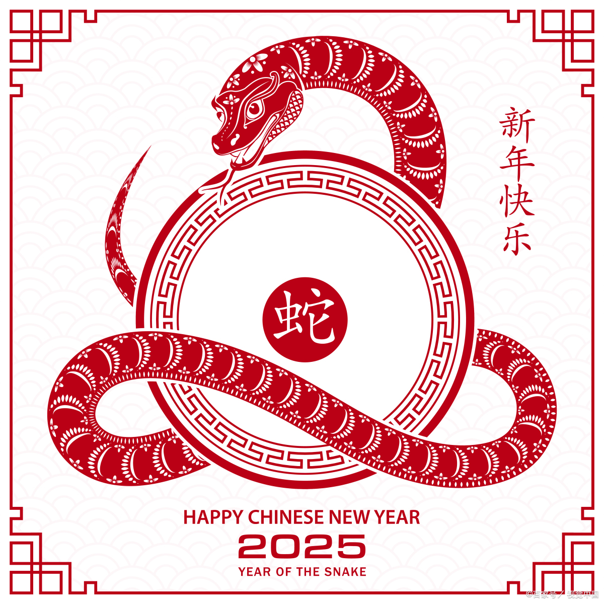 2025年生肖是什么