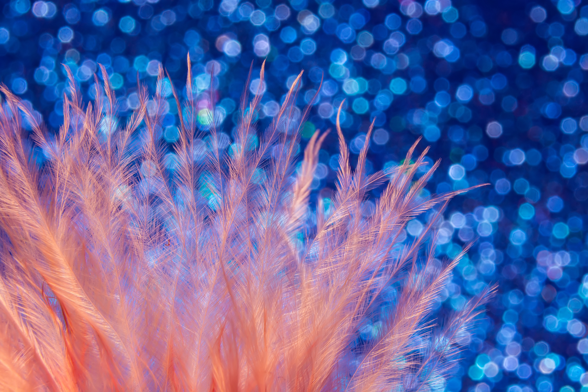 拥有翅膀的梦想：一篇关于自由与希望的小学作文