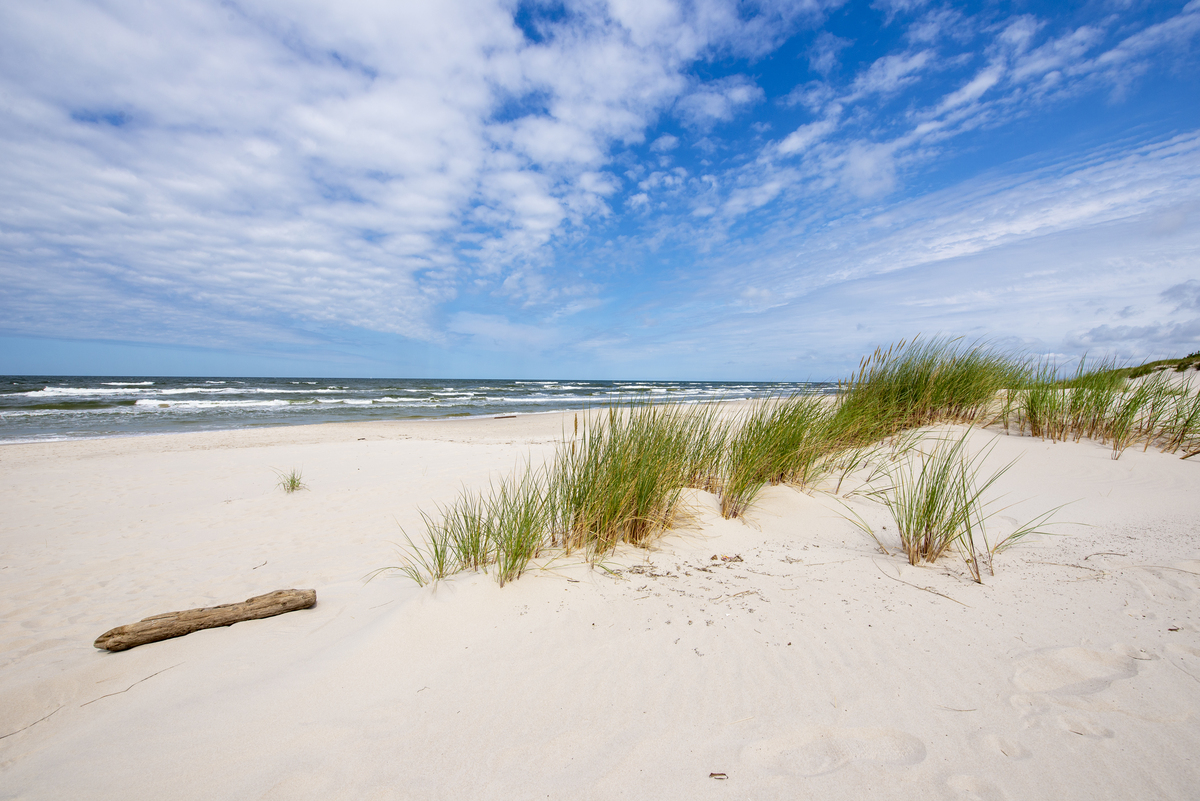 海滩环境处理的实践方案