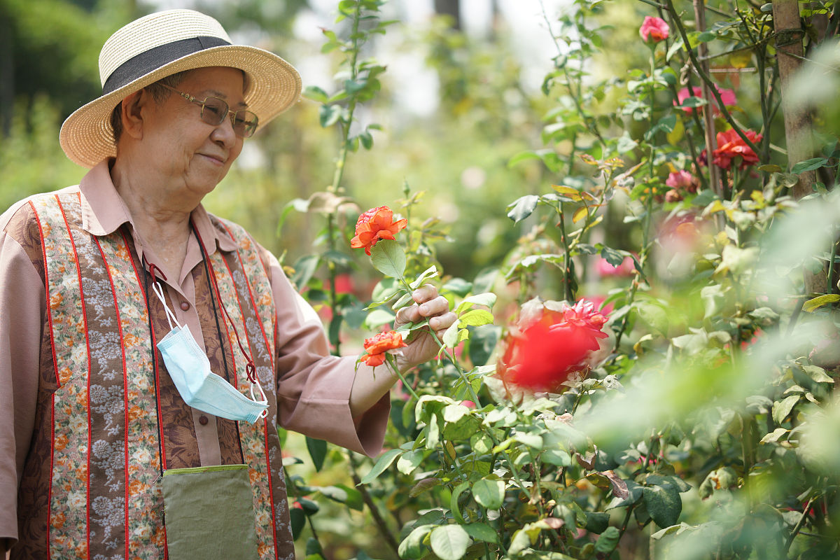 幼儿园大班老师成长与收获：暑期计划助力提升专业能力