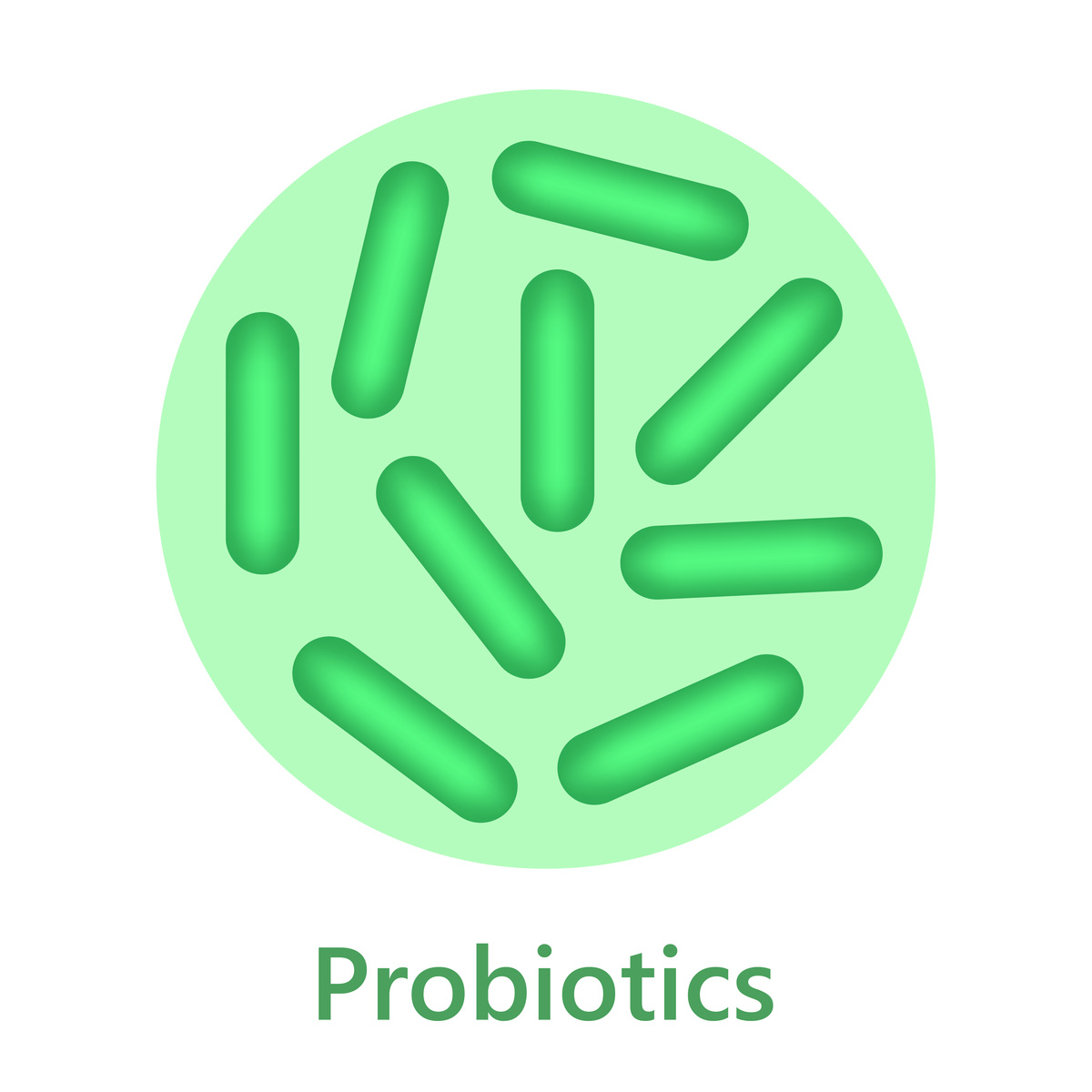 环境微生物学期刊：研究内容详解