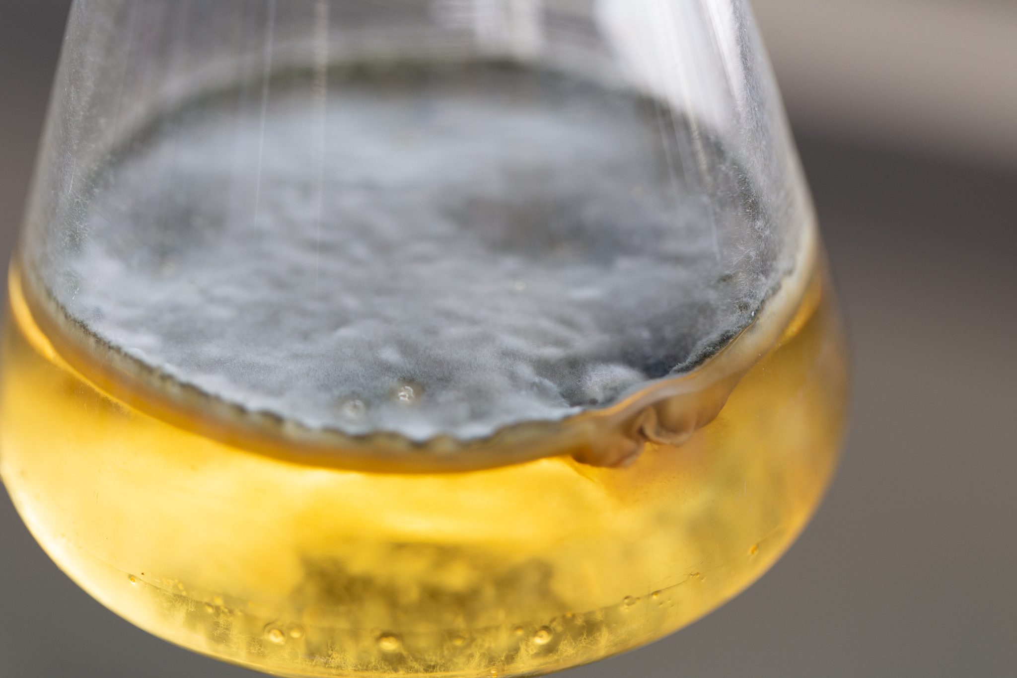 二氧化硫的味道：刺激性气体，像烧糊的味道