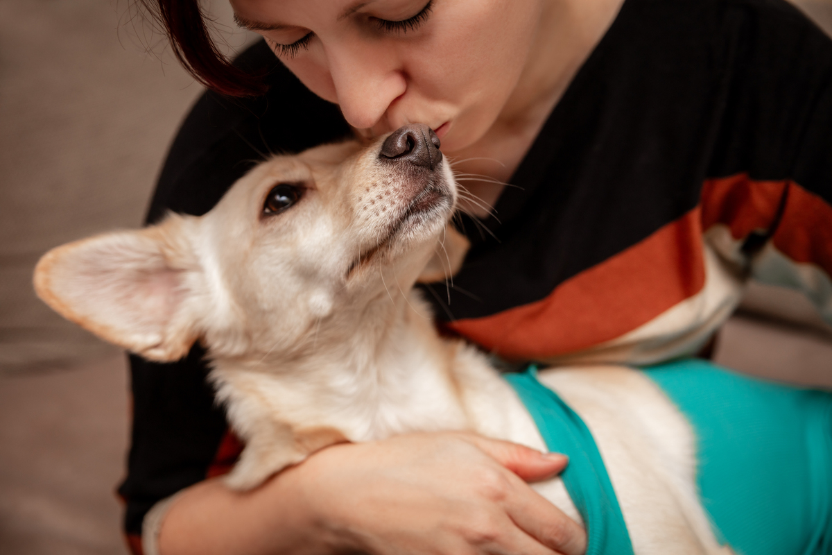 搞笑情侣短视频：男友拿狗绳，说这是‘爱犬’！