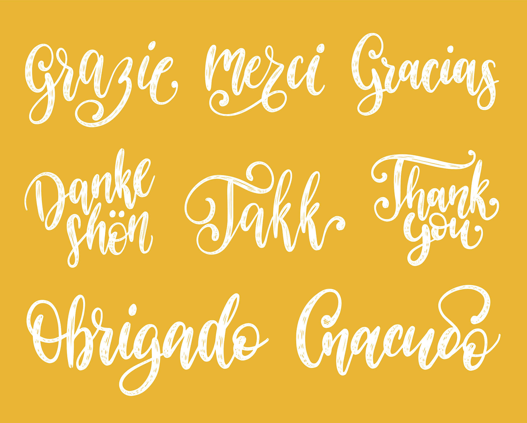 vector calligraphy set of different languages translation of tha