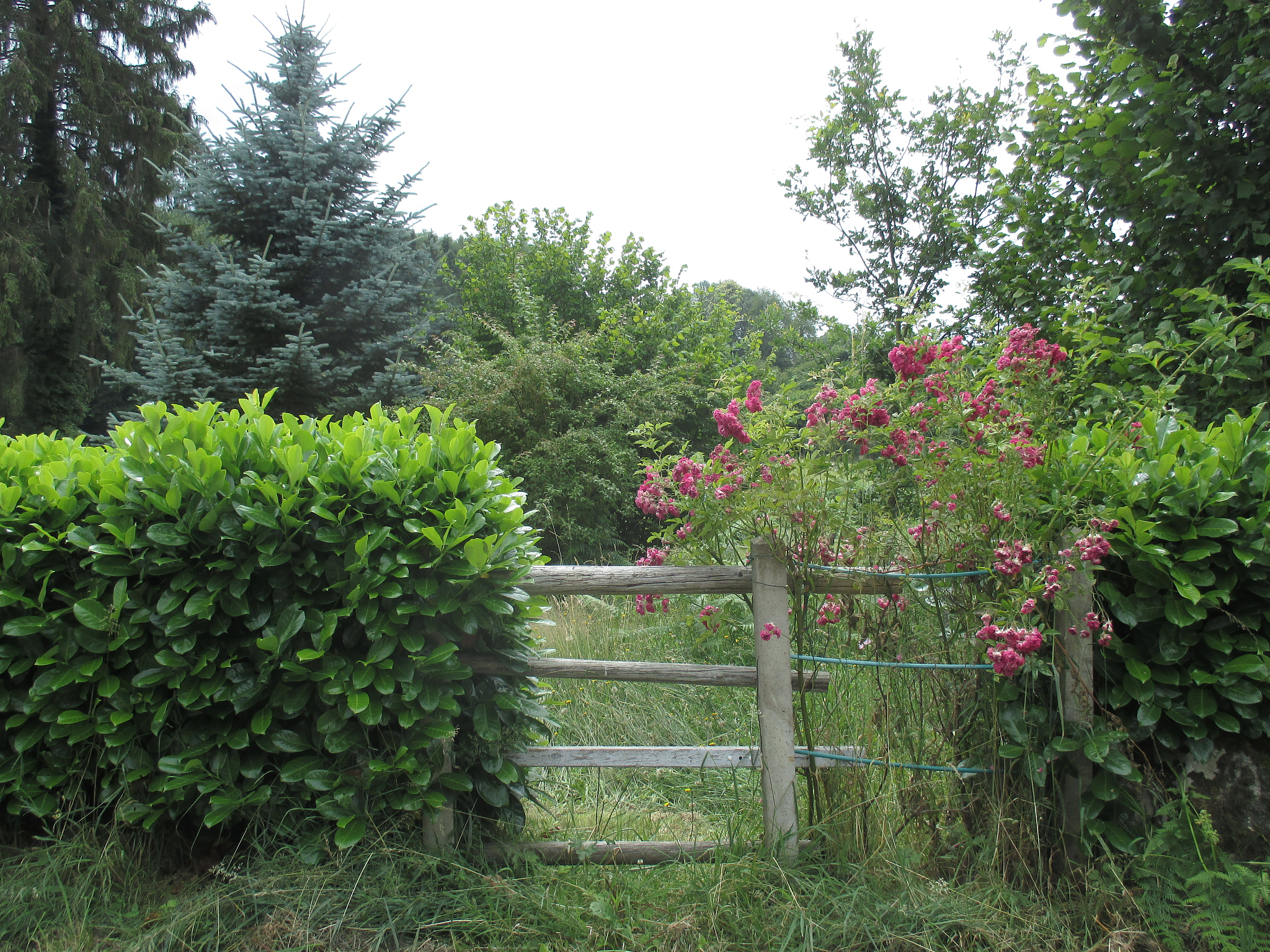 甘肃林业职业技术学院园林技术专业可以选择哪些就业方向