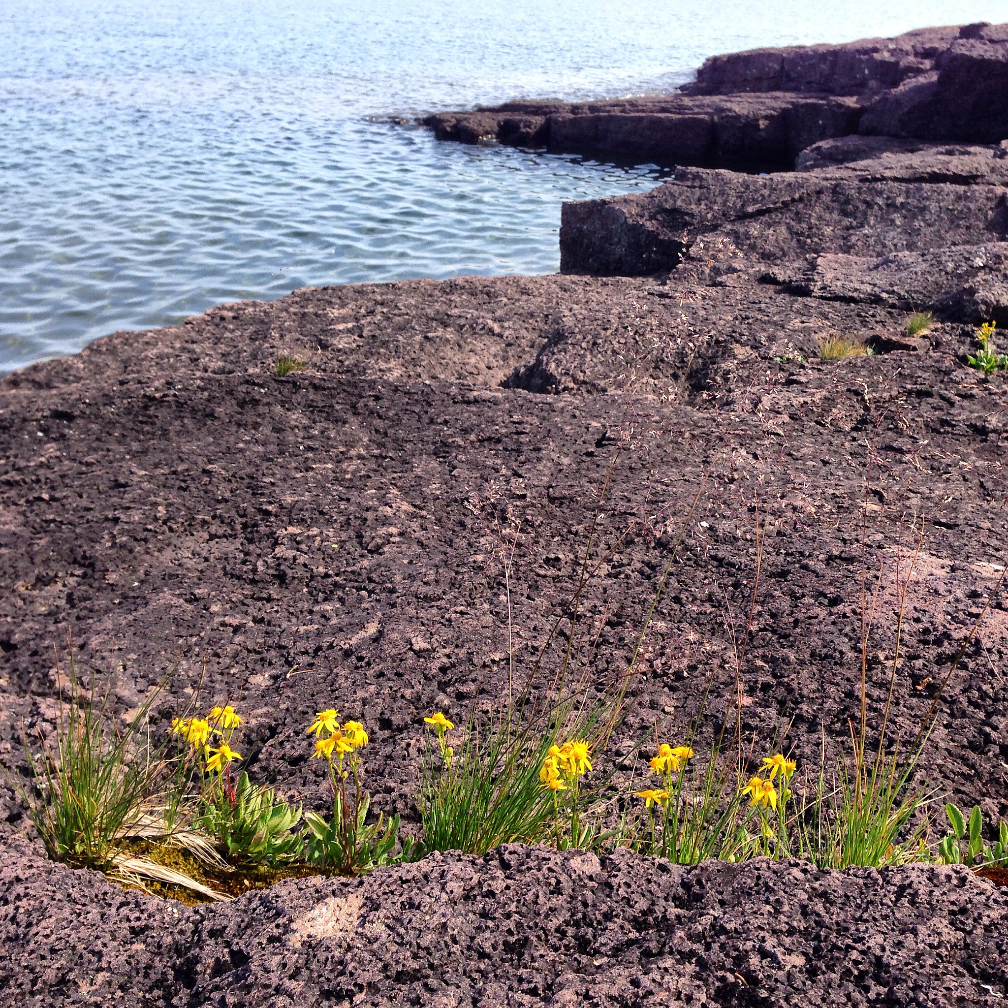 好的故事可以帮我们更好地表达和沟通可以触动心灵、启迪智慧好的故事可以改变一个人的命运可以展现一个民族的形象··故事是有力量的。以上材料引发了你怎样的联想和思考 请写一篇文章。假设你是一位正在高考的高三学子请按照一下要求写一篇语文作文。要求选准角度确定立意明确文体自拟标题不要套作不得抄袭不得泄露个人信息 不少于800字