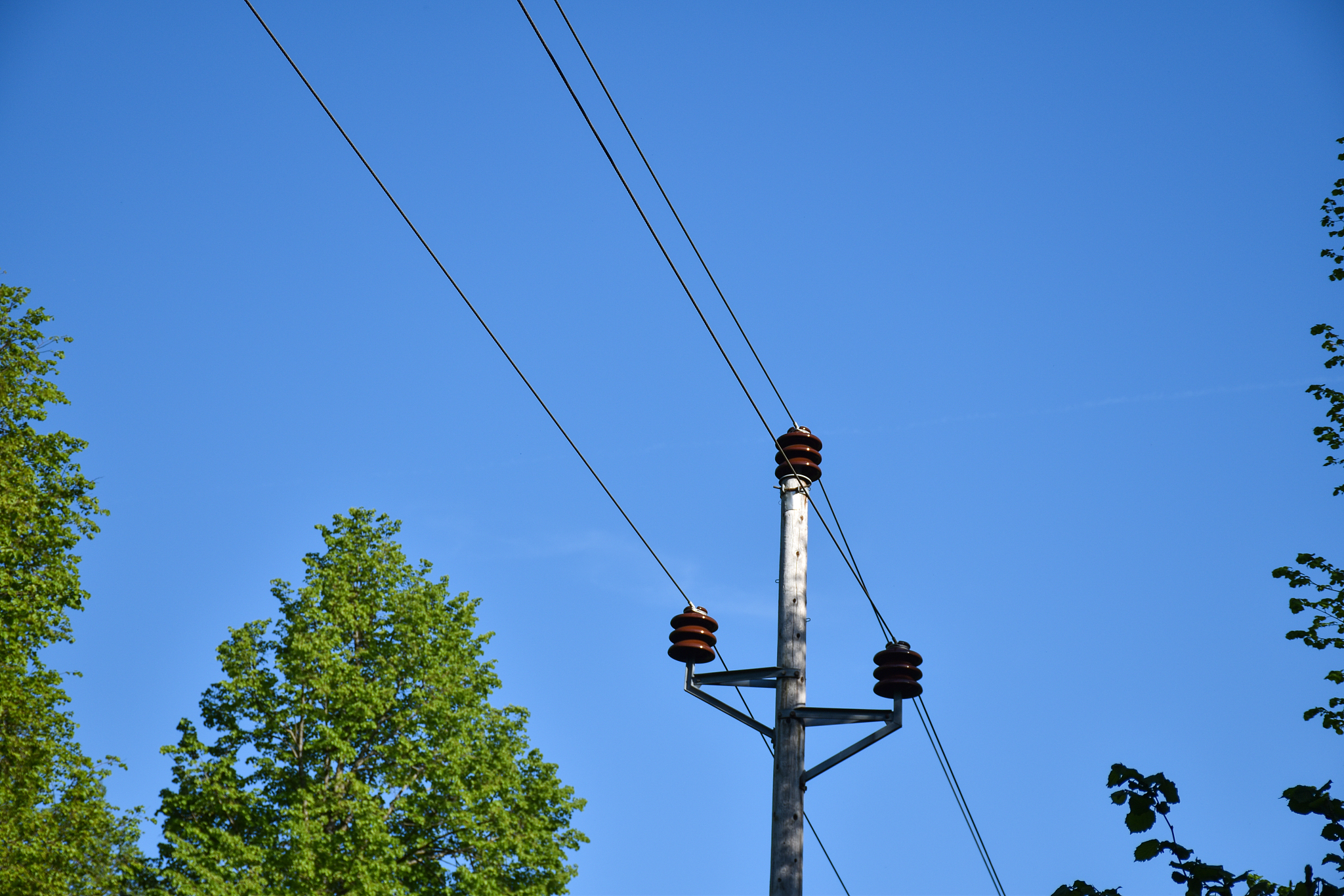 贵州水利水电职业技术学院中专部发电厂及变电站运行与维护专业是不是热门专业？；：：；；第三件事输入分隔符###############