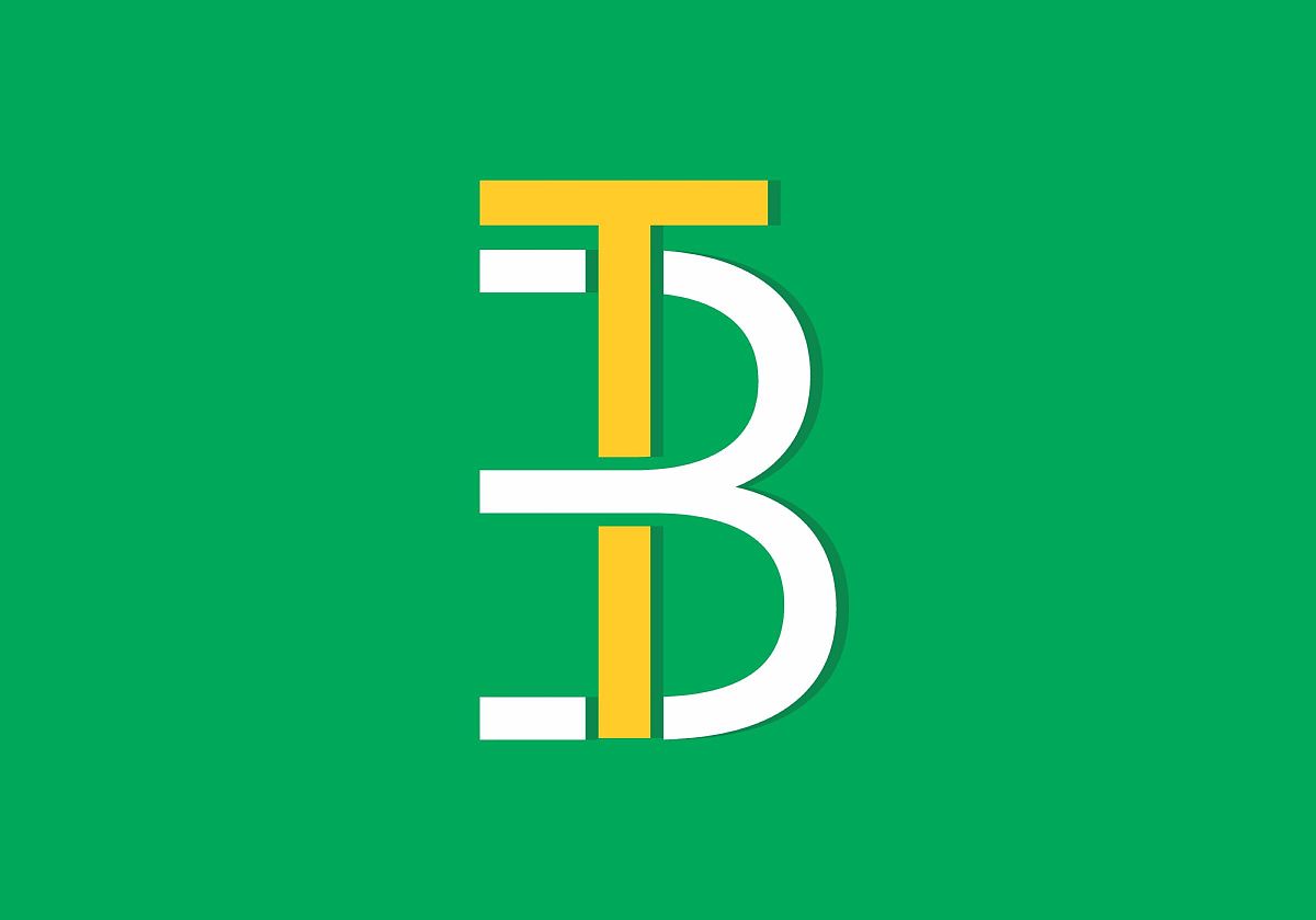 tb或bt的首字母