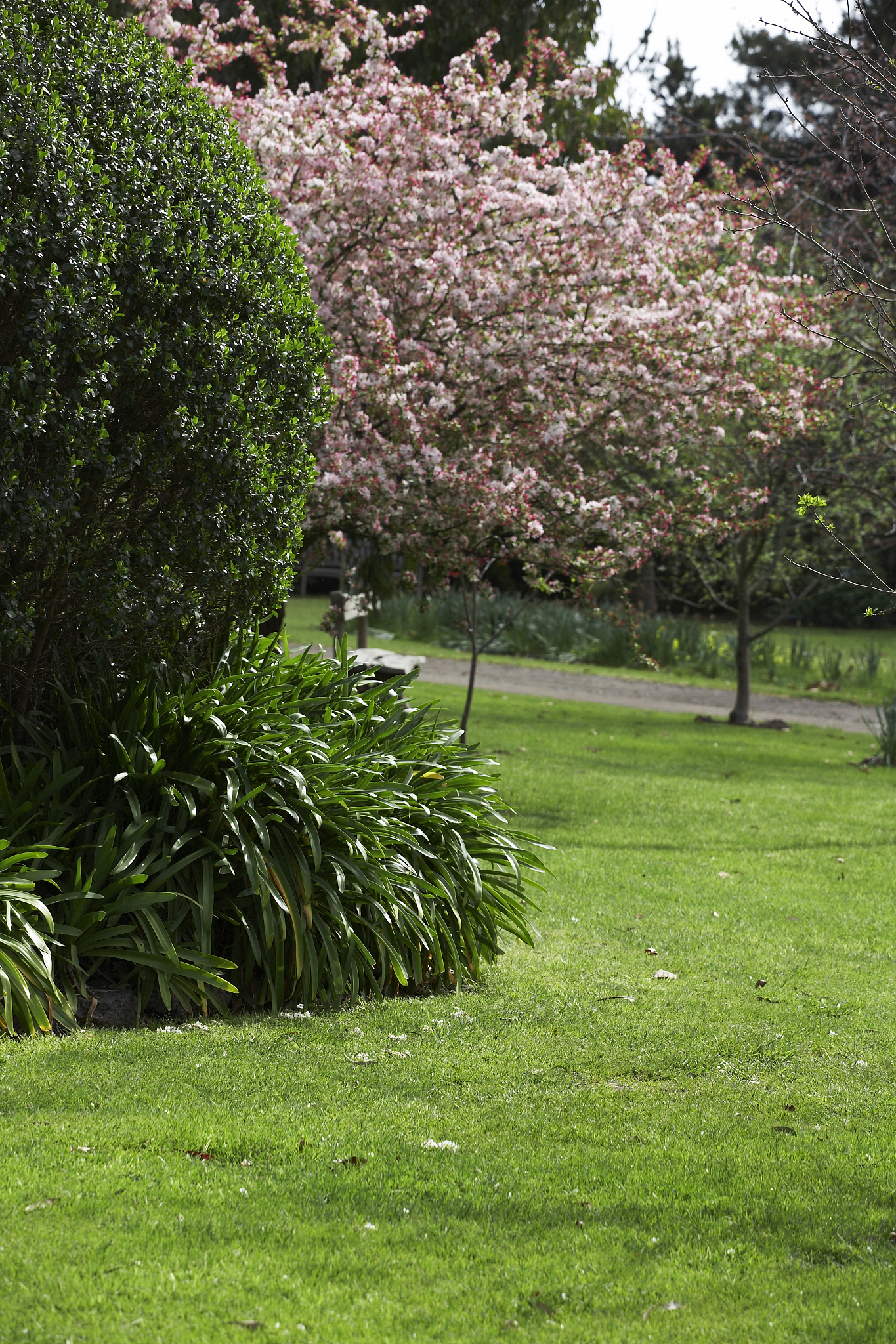 无锡园林技工学校2021年招生专业有哪些