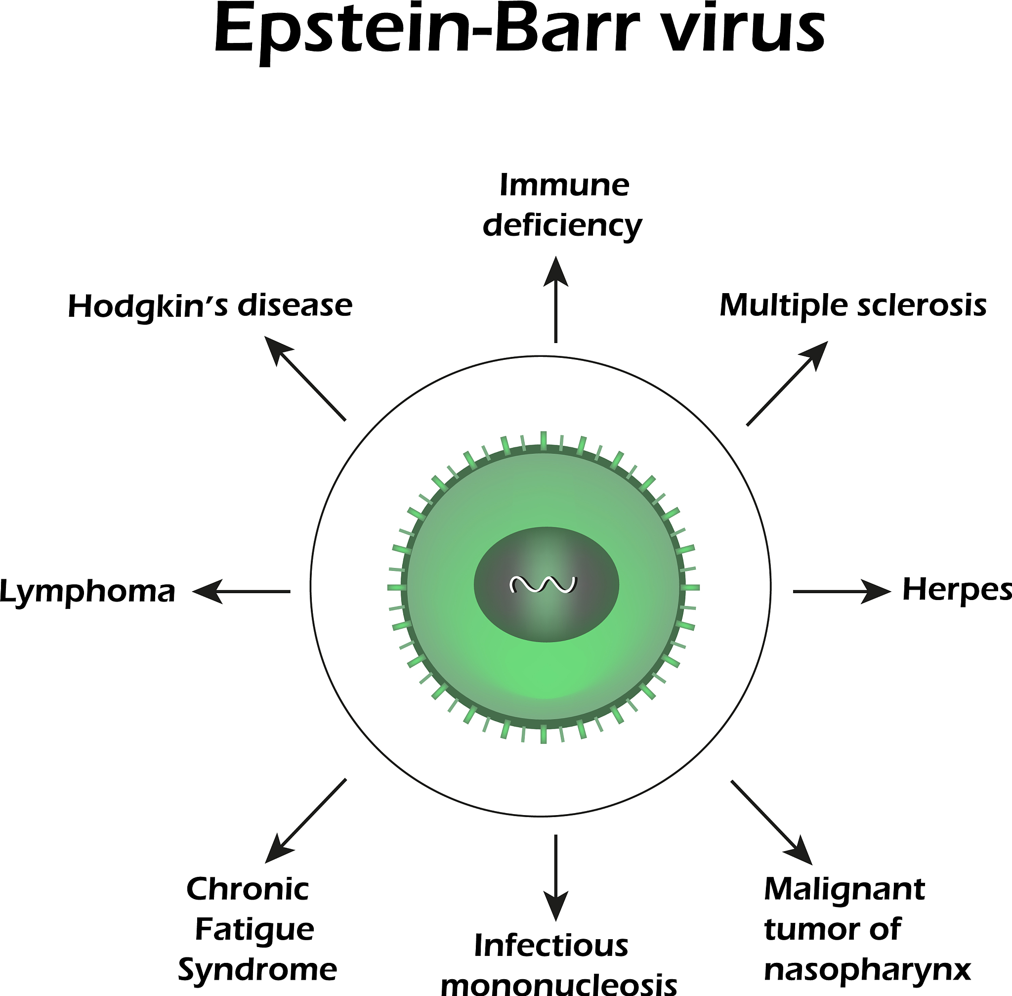 ALGAL RESEARCH-BIOMASS BIOFUELS AND BIOPRODUCTS: 藻类生物质研究领先期刊