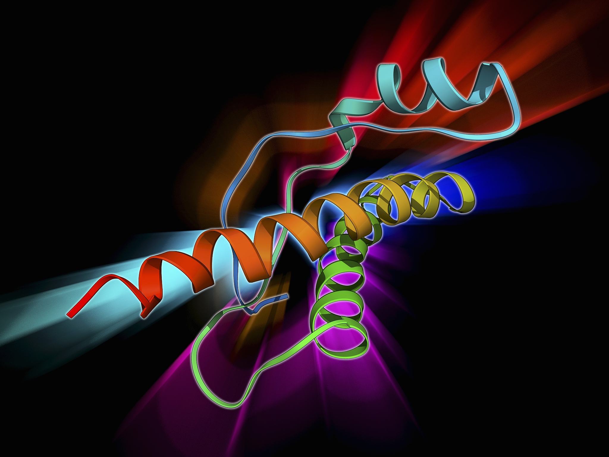 思维导图详解：生物化学蛋白质化学知识点总结
