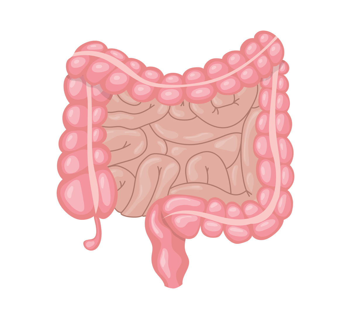 没有屎意拉屎会对屎排出的进度有影响吗？