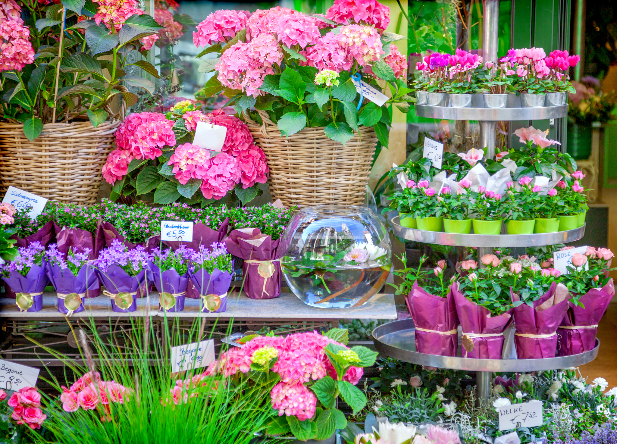 抖音花卉园艺UV多少算正常？影响因素解析