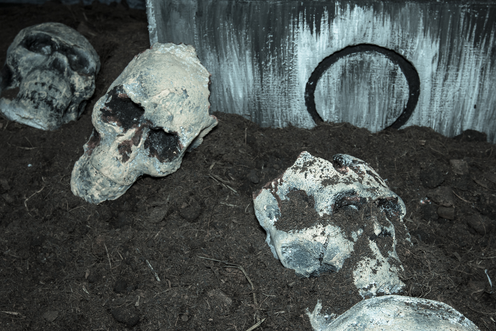 skull in graveyard, filter effect