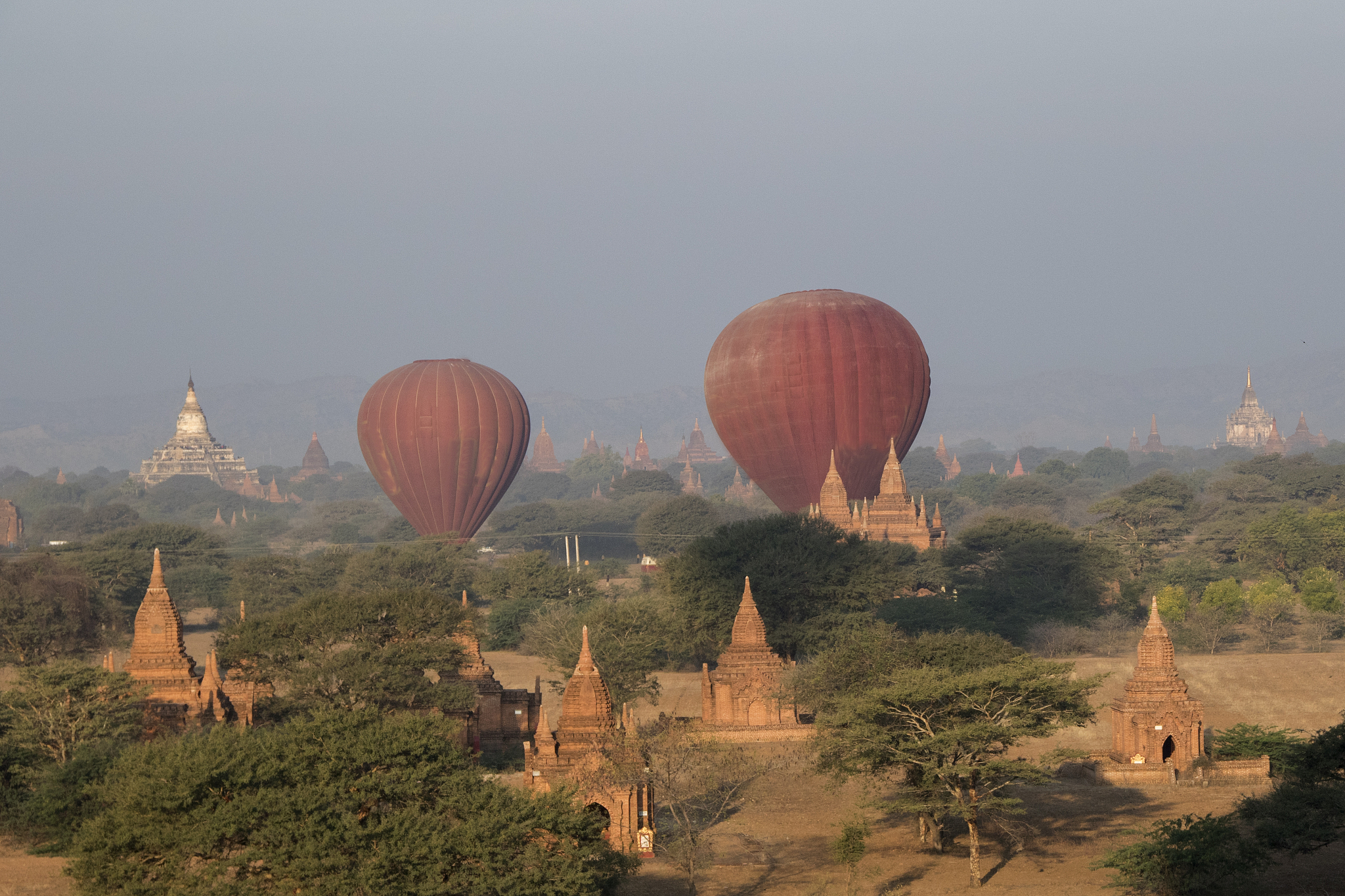 hot air balloons landing among temples