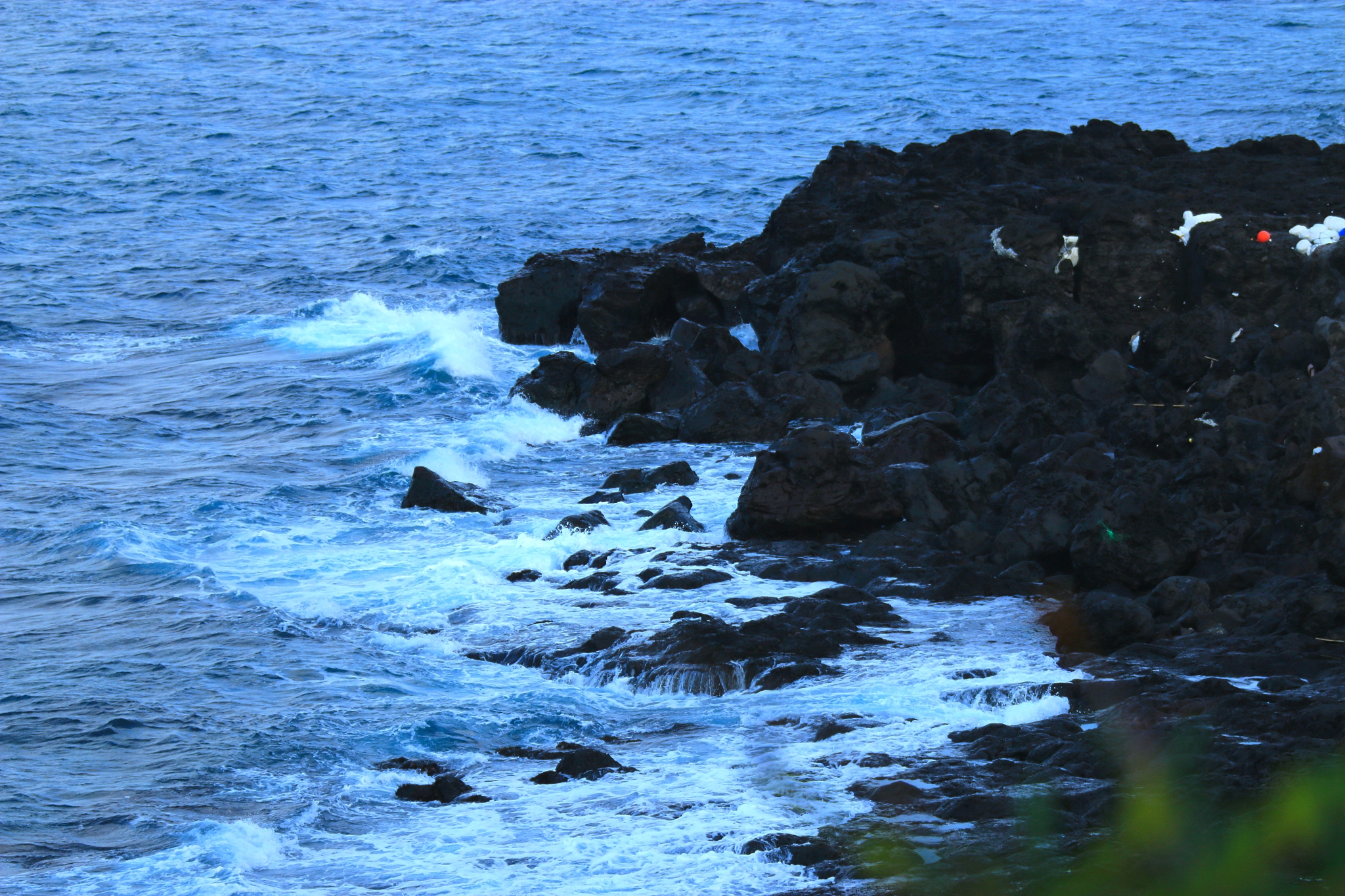 seobong beach, coast, sea, horse, white sand, beach,