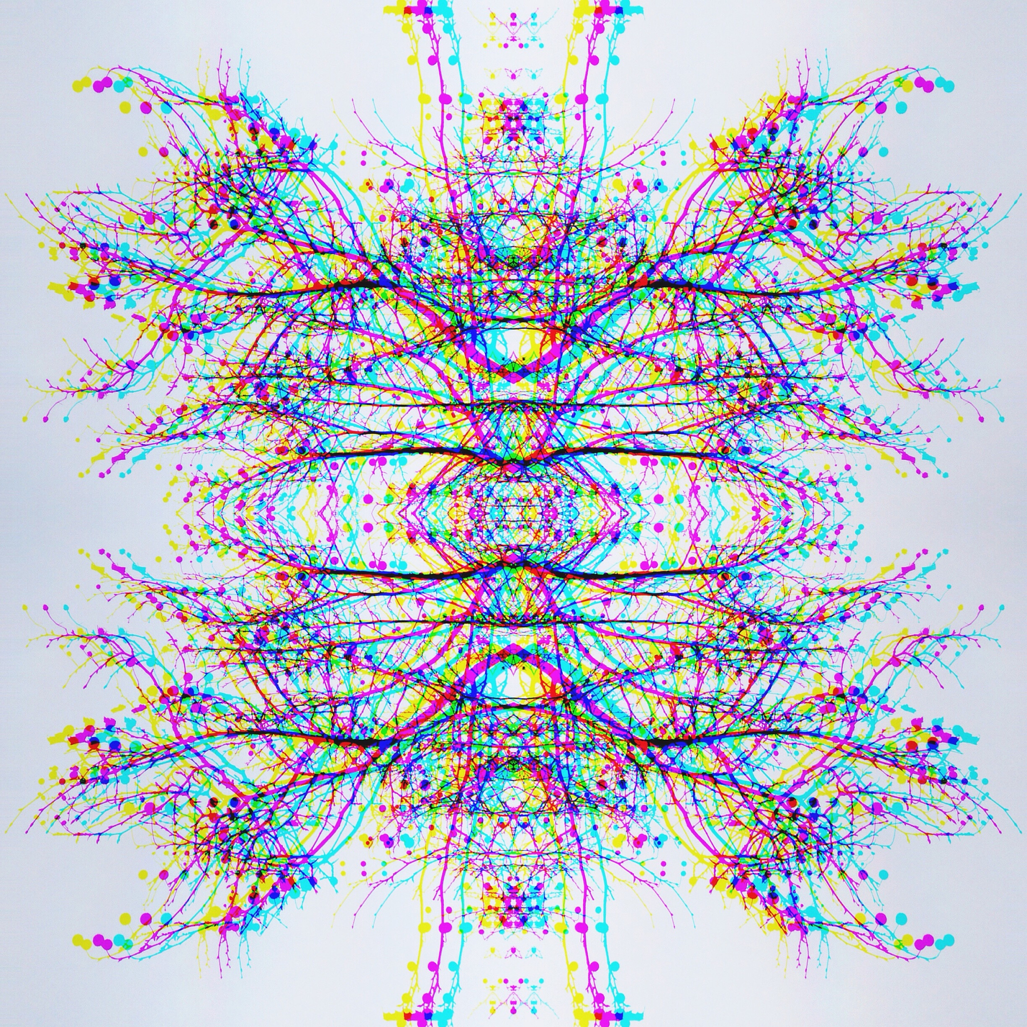 用 C 语言和 Python 绘制万花筒图案