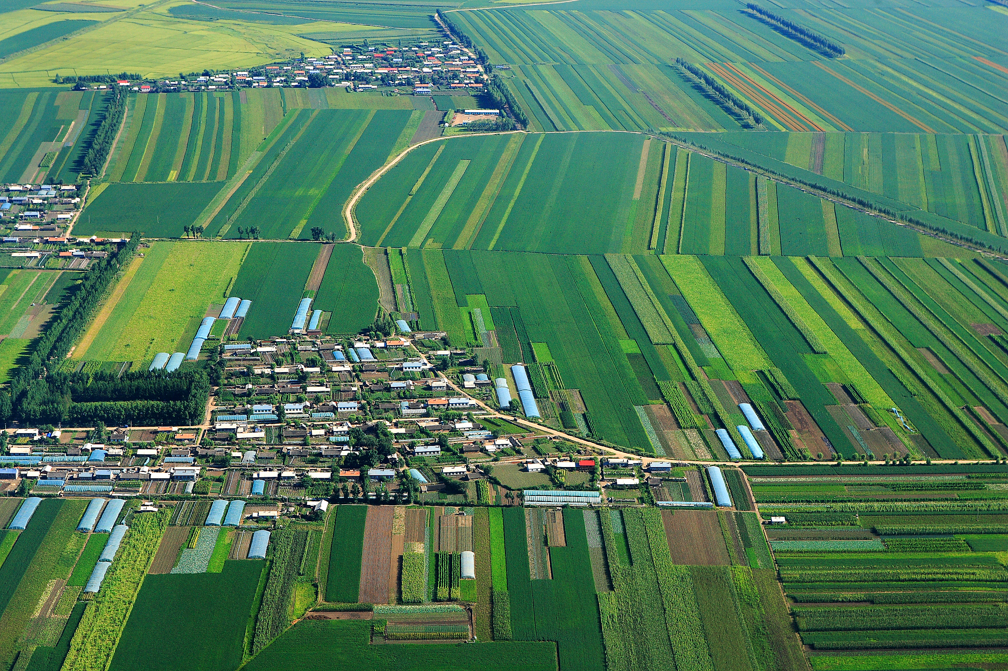 乡村振兴战略背景下河北省农业经济发展研究结论及展望