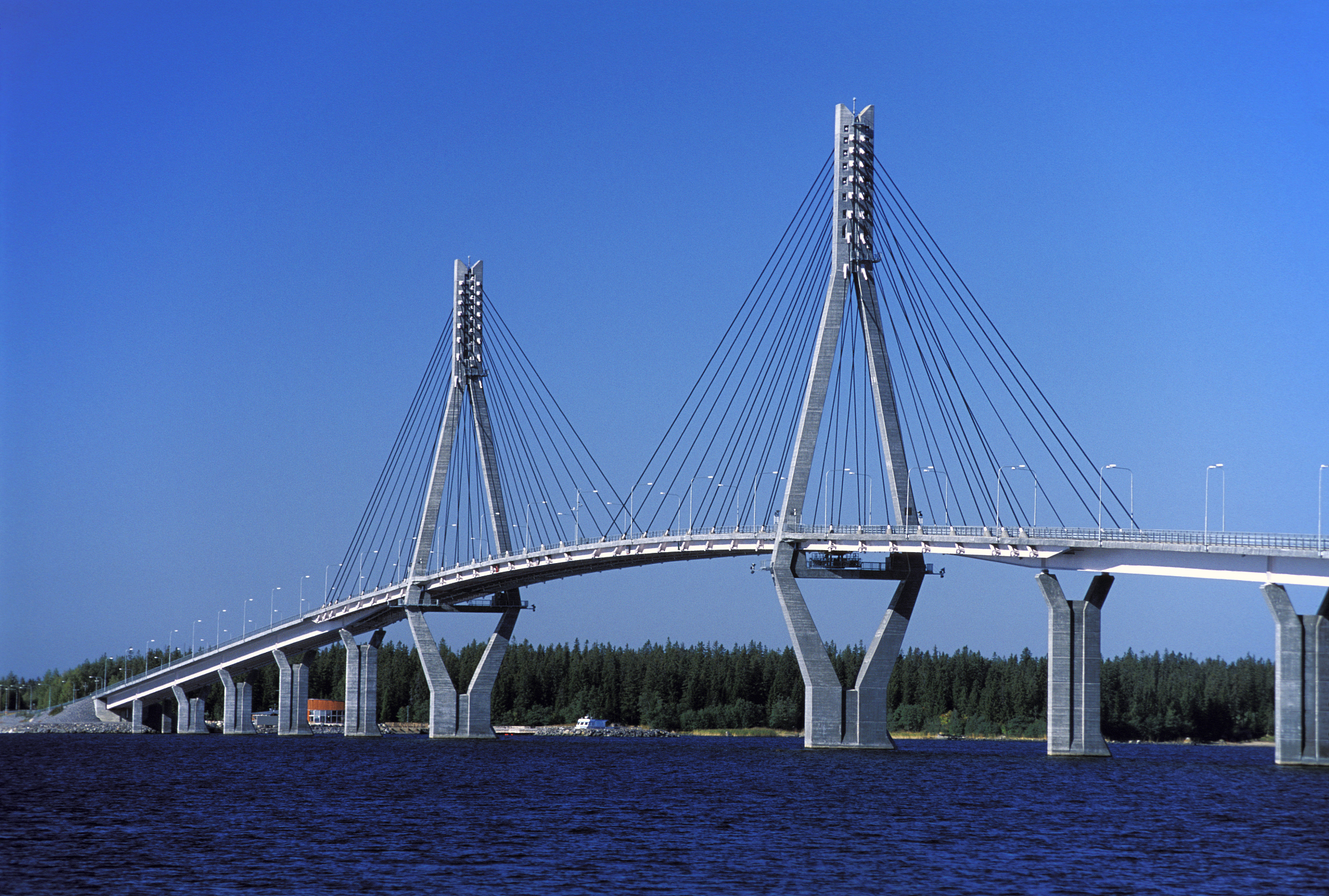 自贡市飞鱼职业学校2020年招生简章