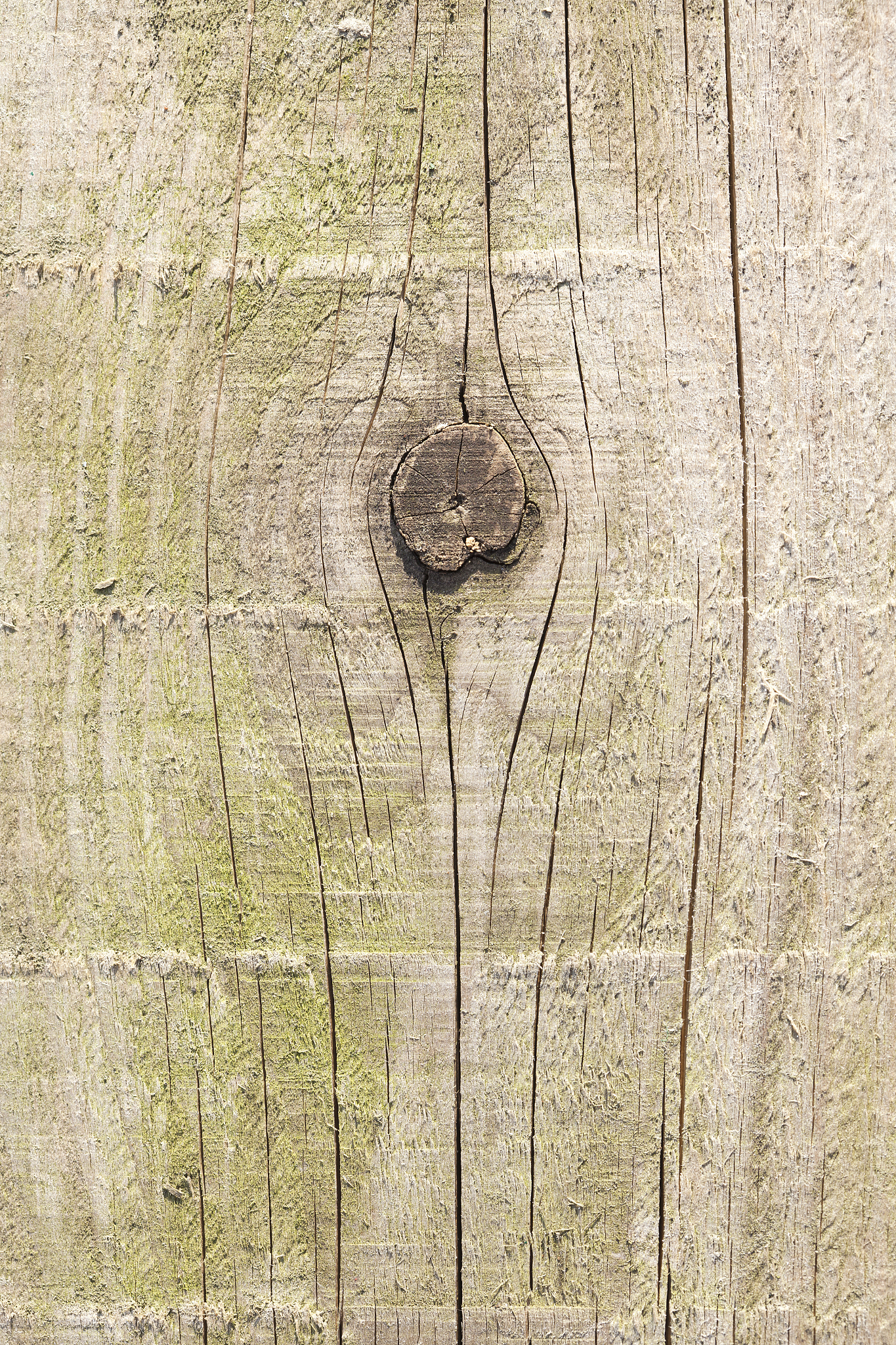 台州学院材料成型及控制工程专业: 培养未来工程师的摇篮