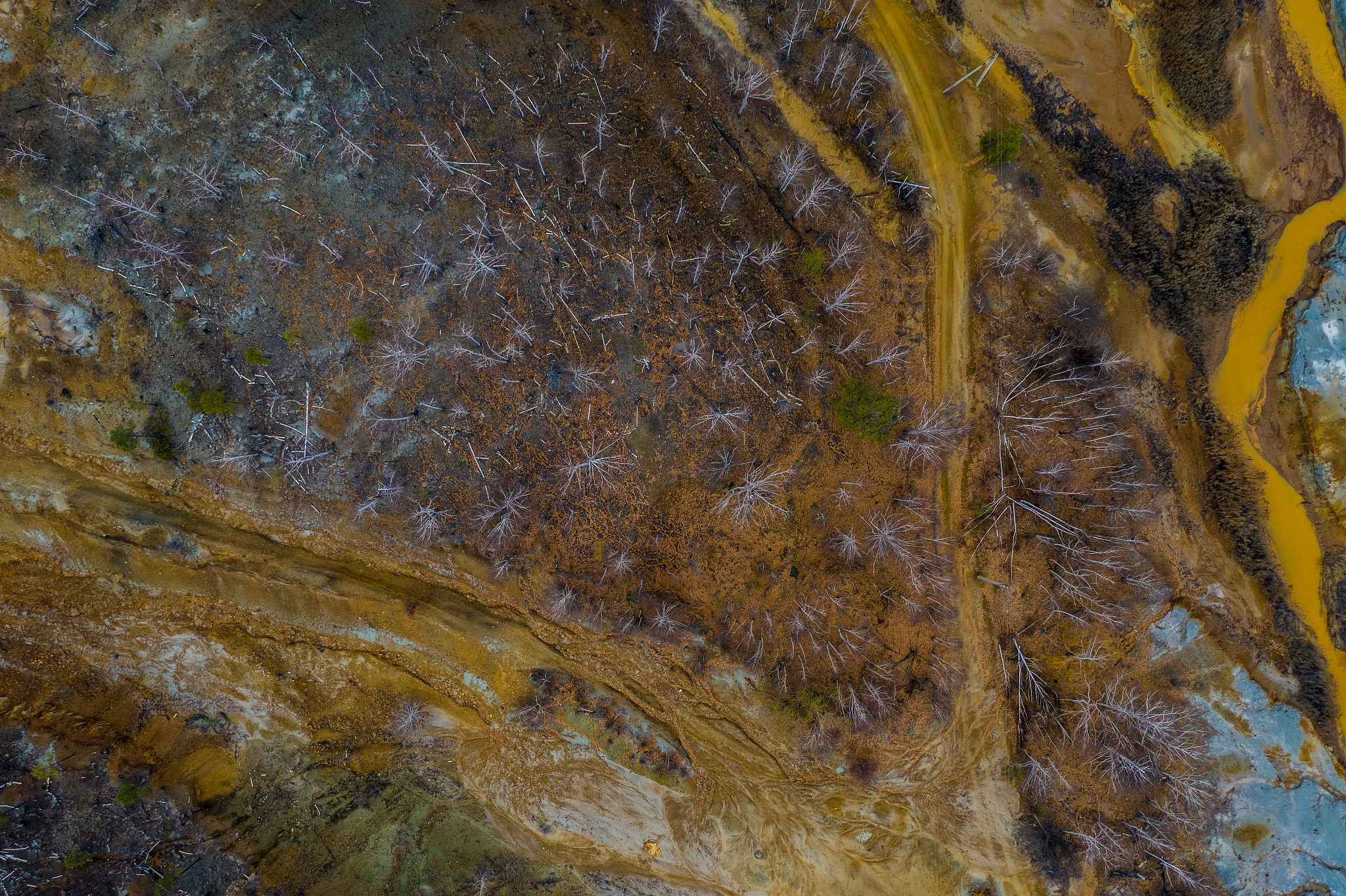 水面清洁设备市场规模数据分析及行业发展趋势不少于2000字