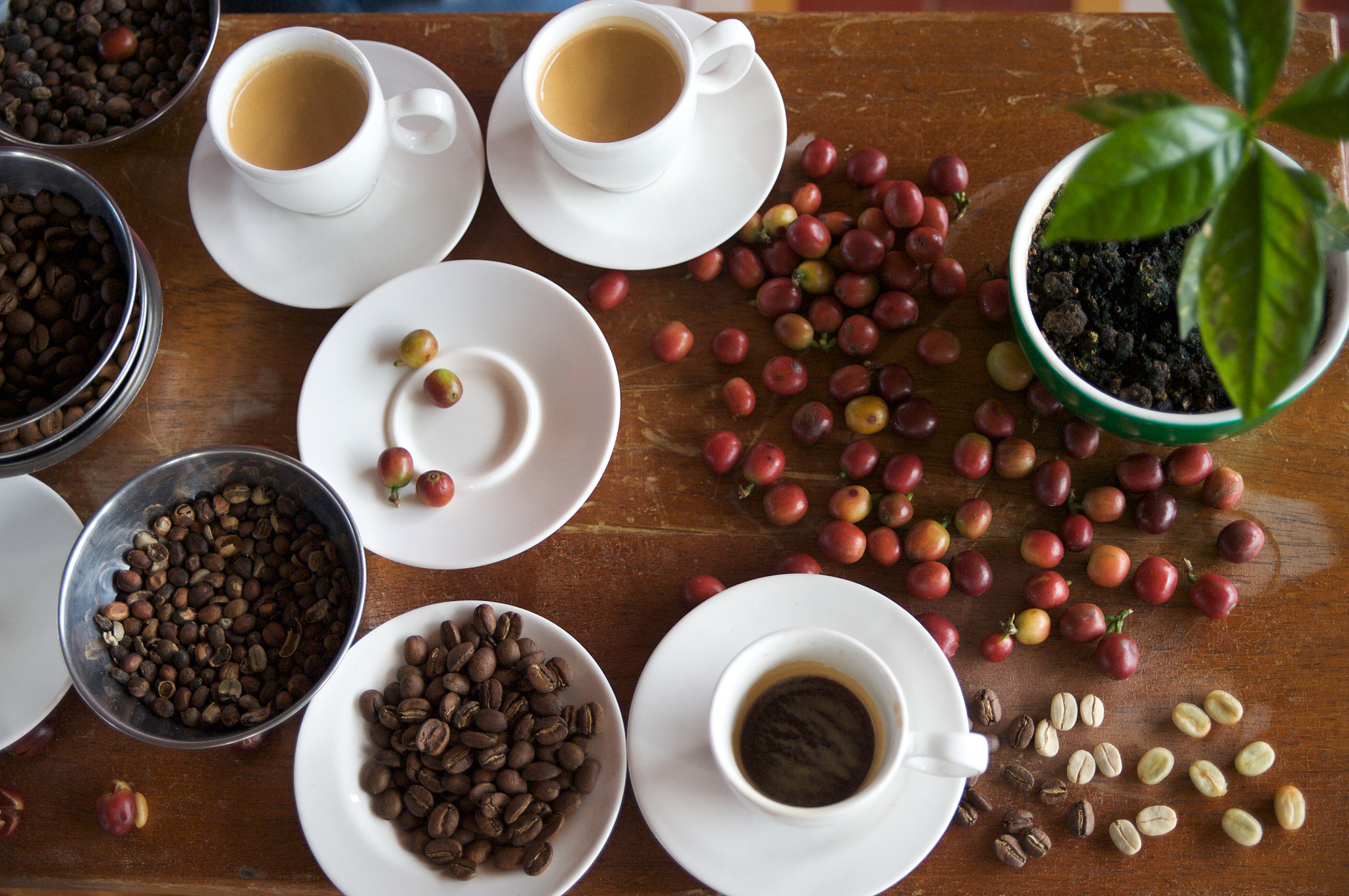 写一篇关于咖啡发展创新 5分钟时间