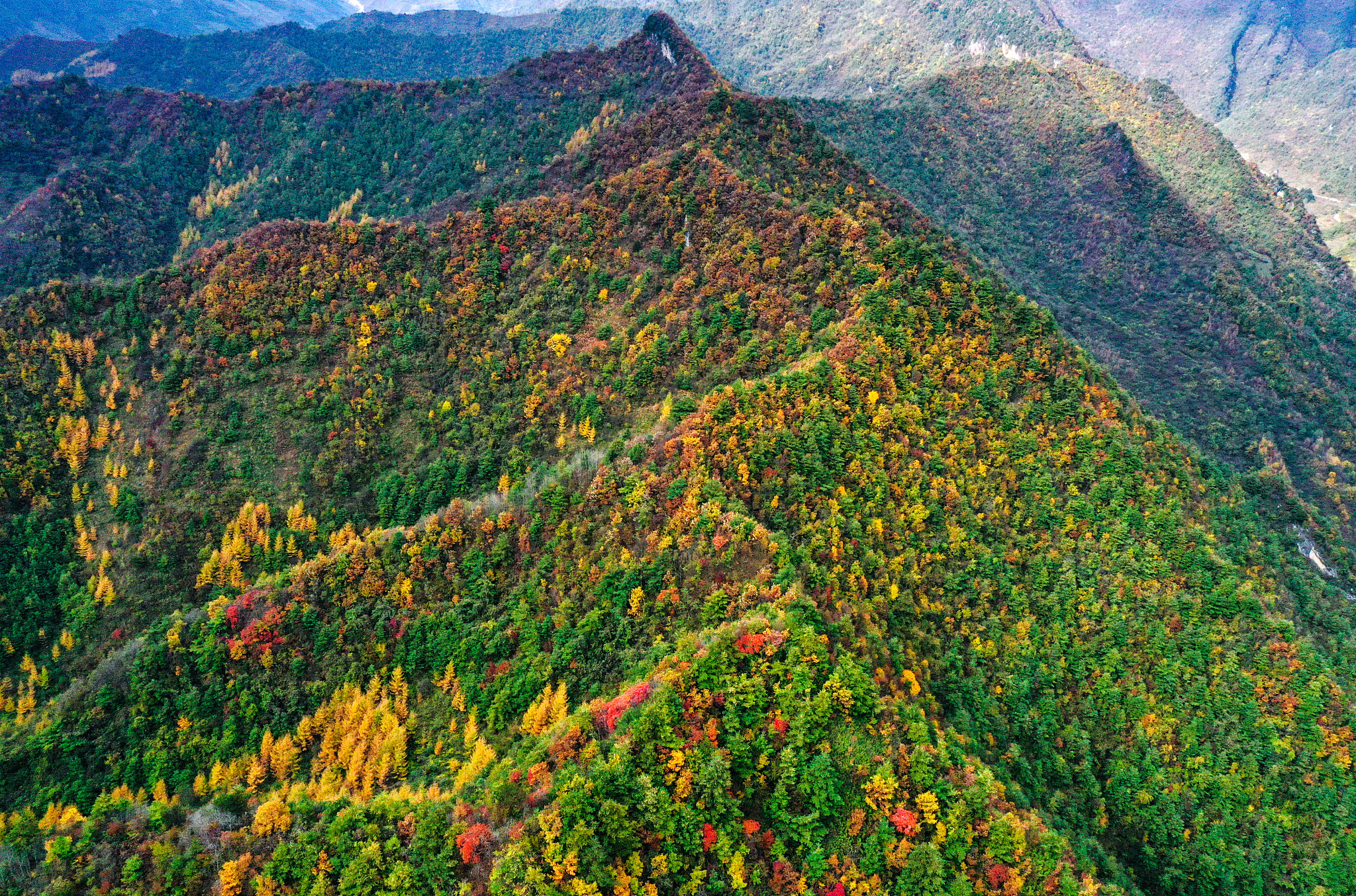 兴隆山植被多样性 - 中国北方重要的自然保护区