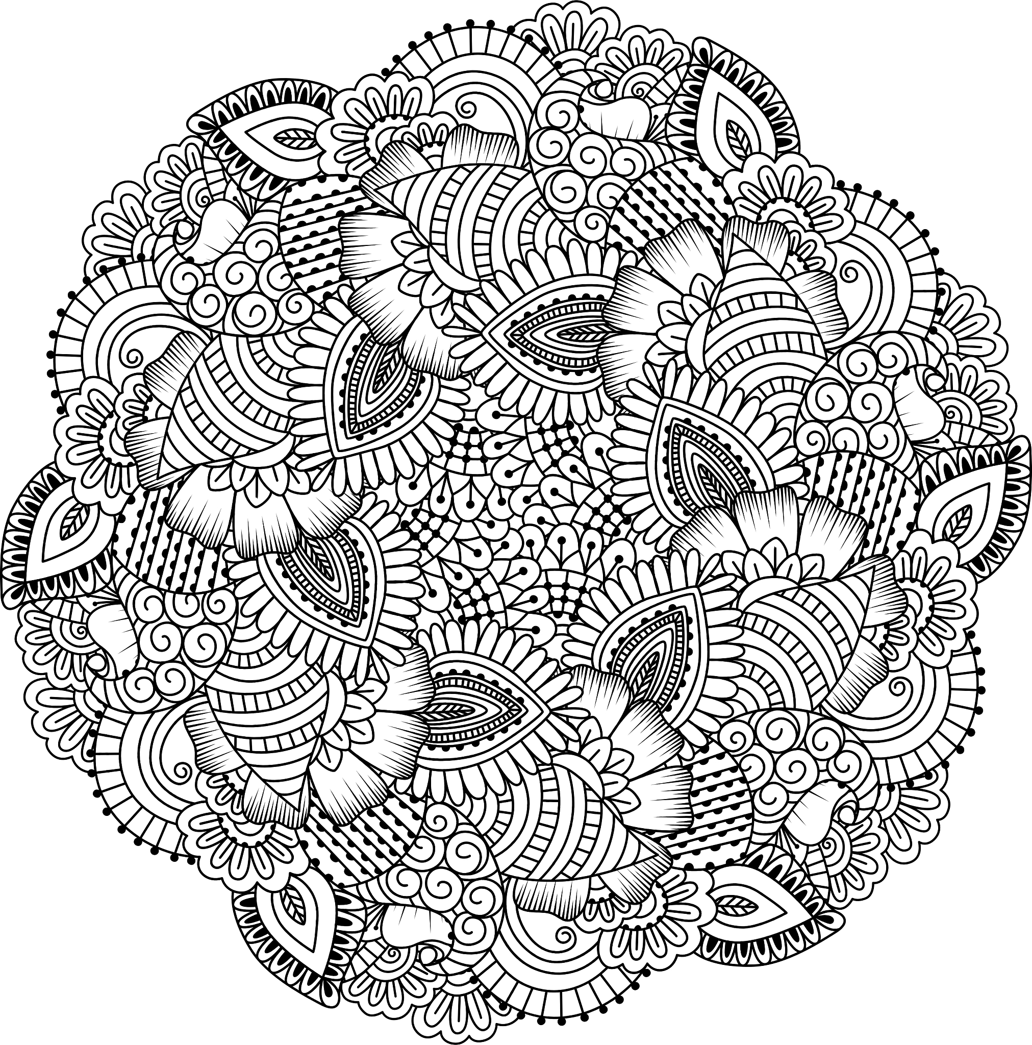 宁南县职业技术学校2023年有哪些专业