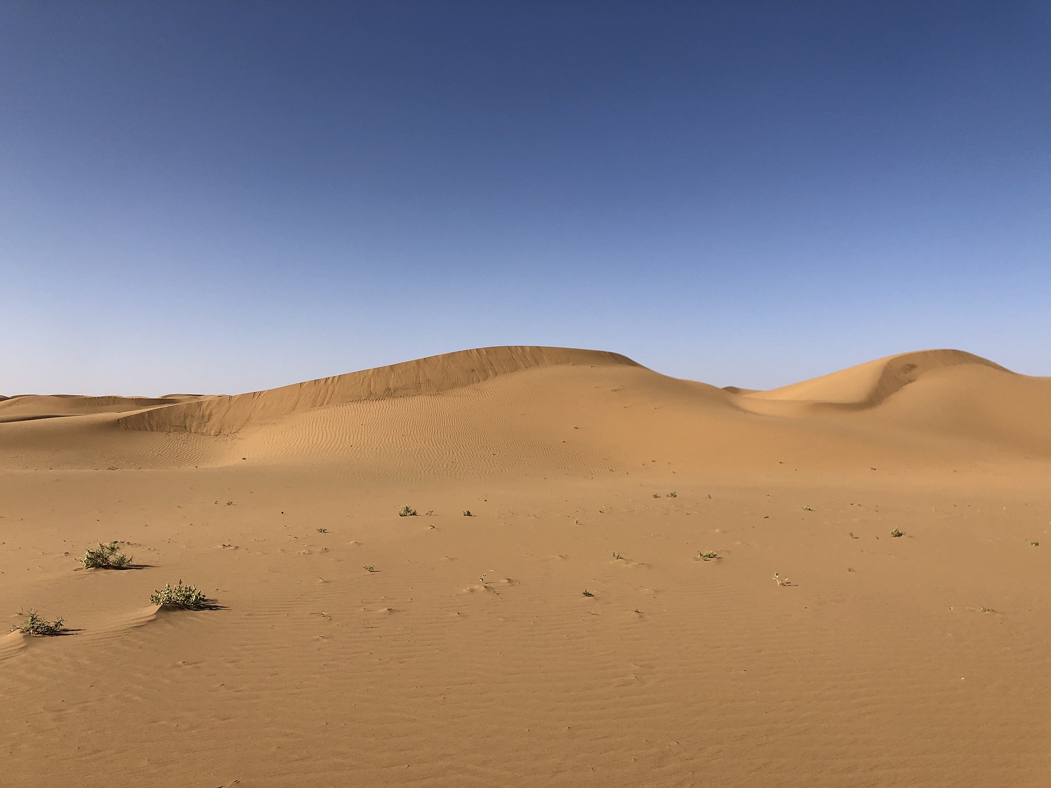 宁夏最好的卫校排名及热门专业推荐