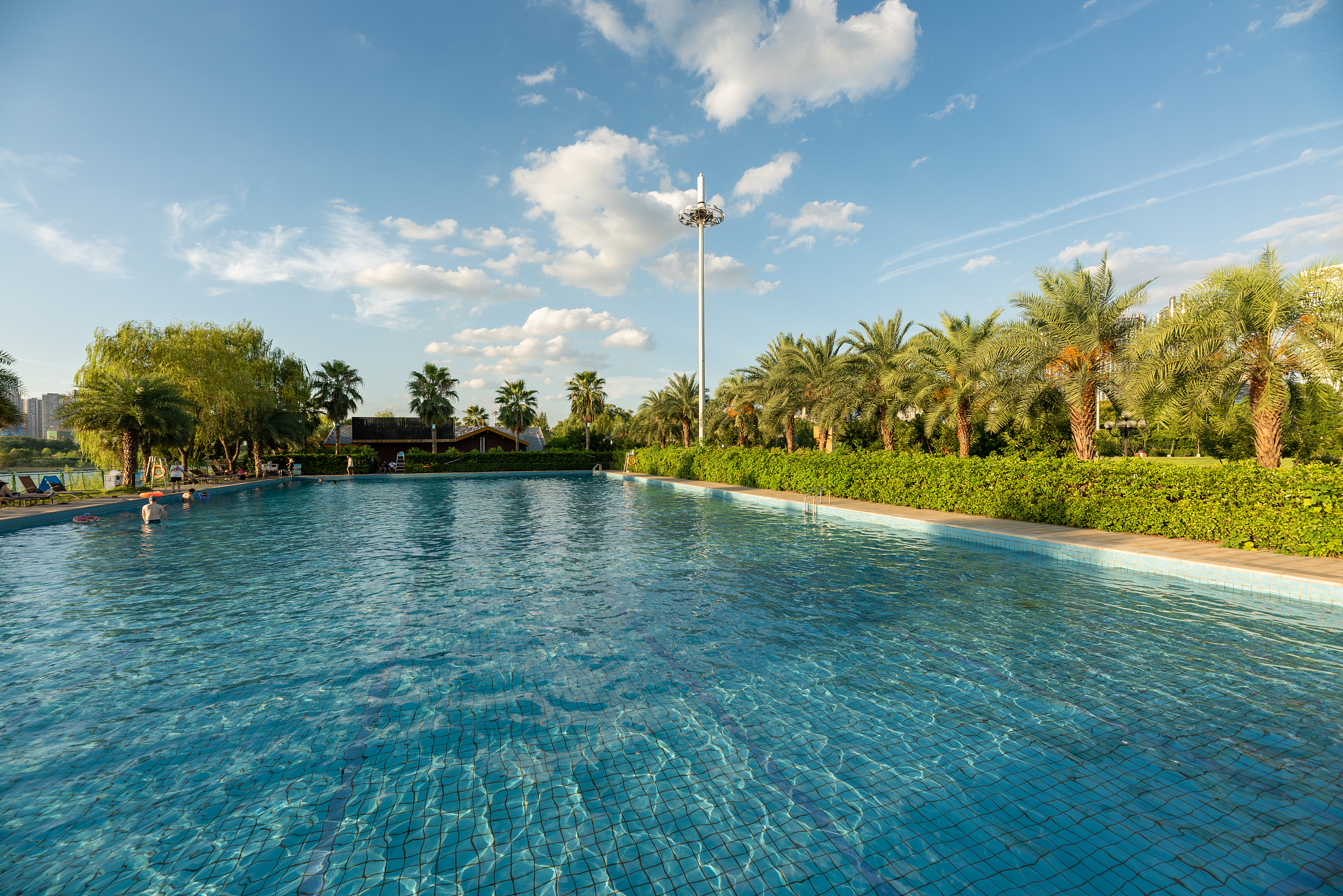 蓝湖郡体育中心室外泳池精细化管理问题及对策研究提纲