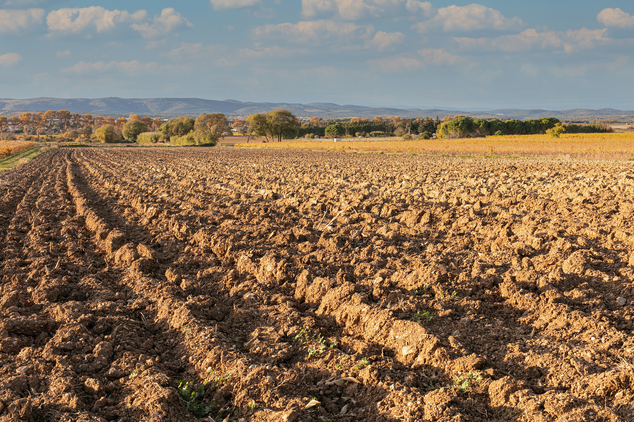 法国北部种植玉米的不利气候条件帮我用200字详细描述