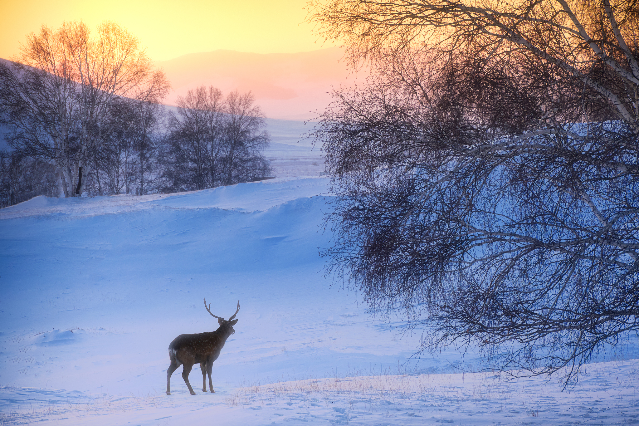 你正在谈恋爱做梦到了你的女朋友。梦境比较魔幻惊险请你描述一下