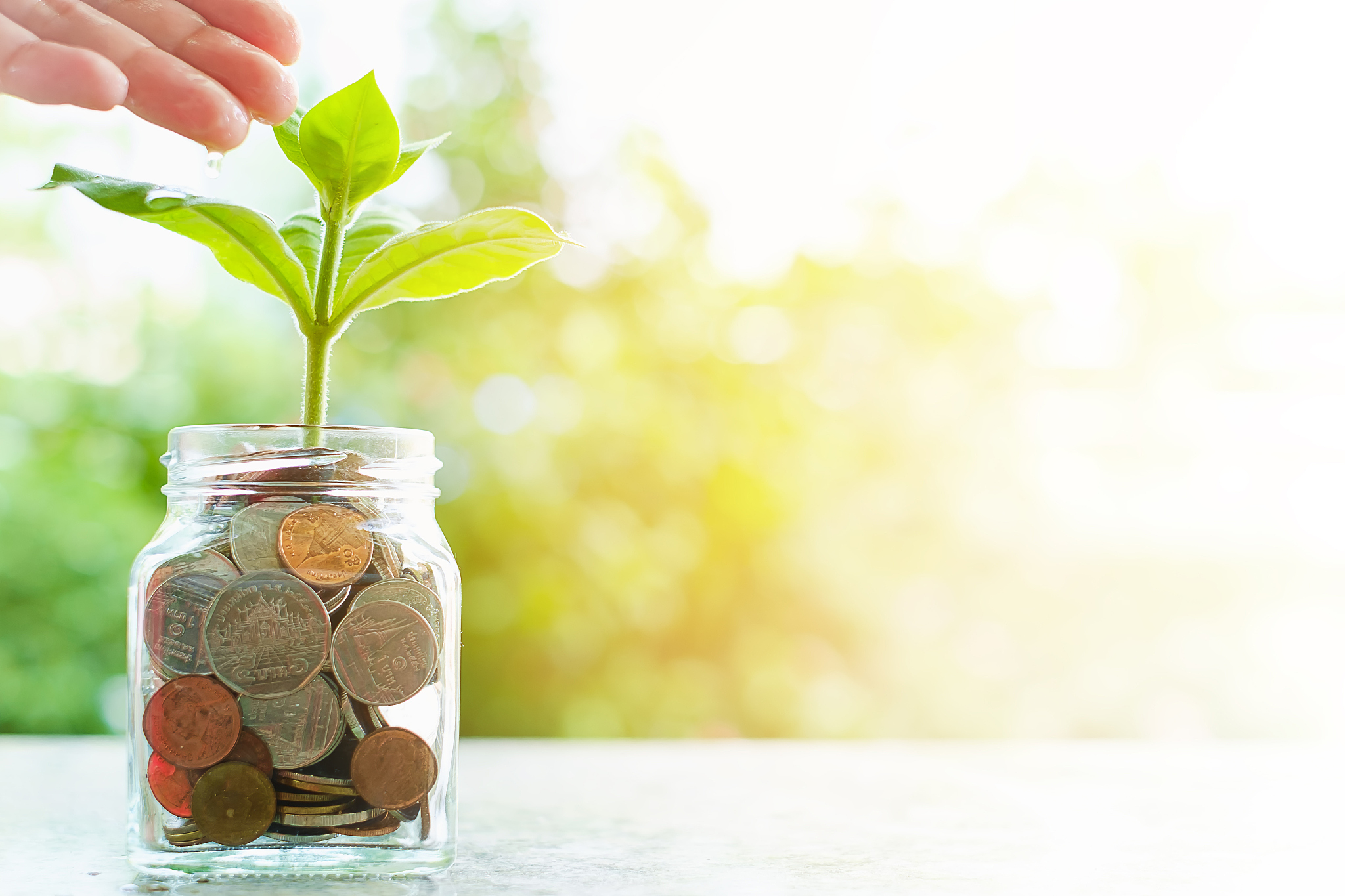 hand watering the plant growing from coins in the glass jar on b