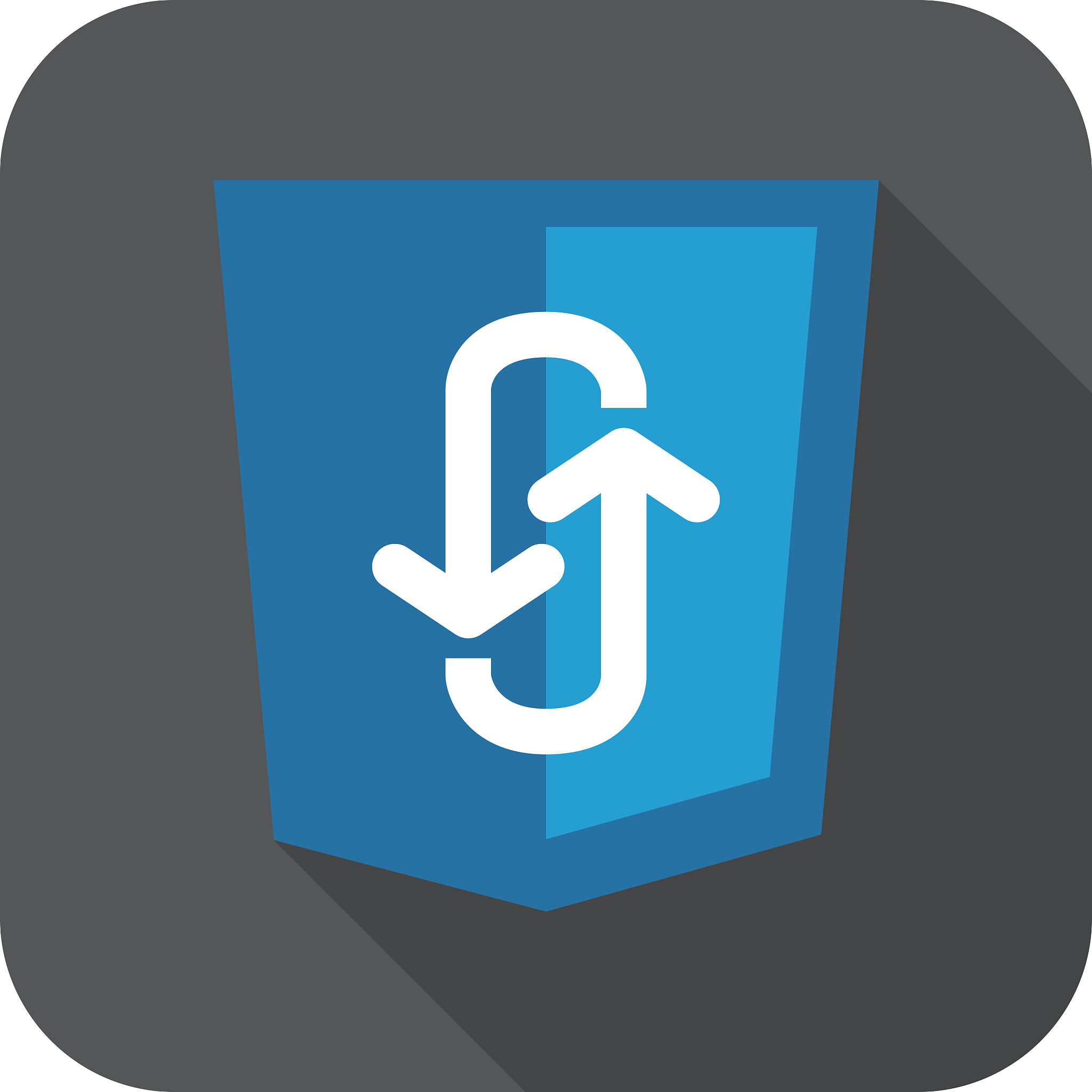 illustration of blue shield with programming technology ajax asy