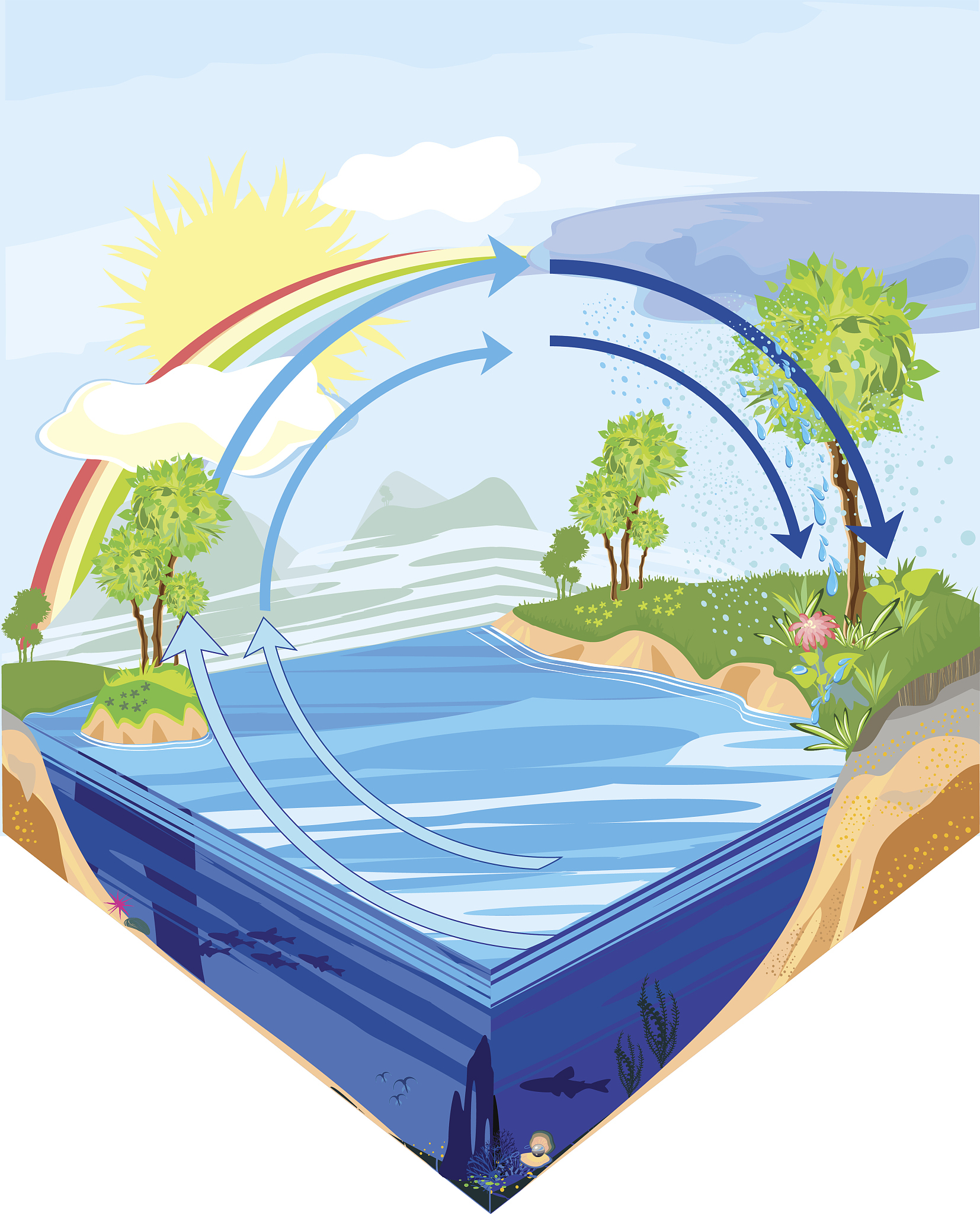 How to Conserve Water: Individual Solutions for Water Shortages