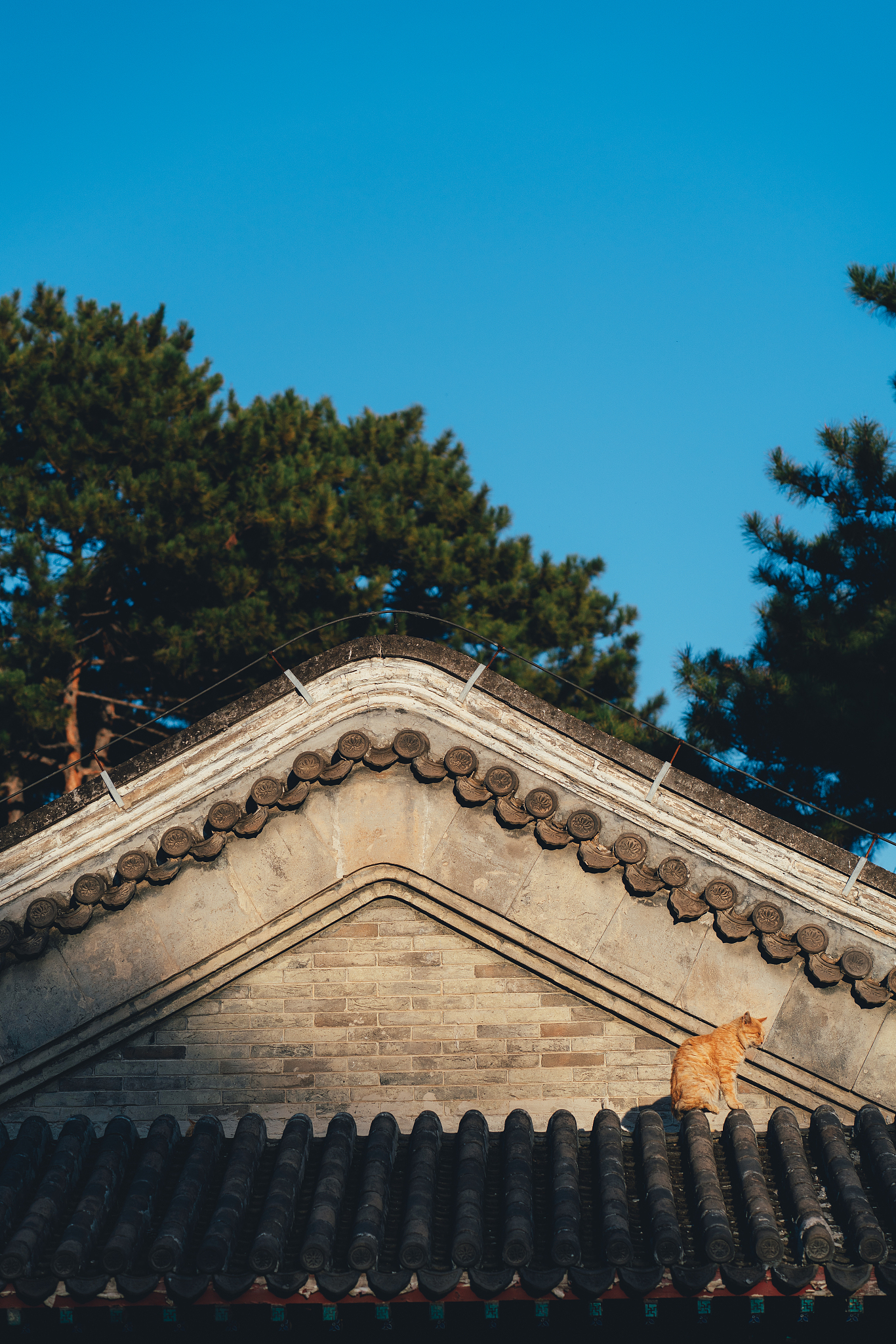 文旅融合背景下承德避暑山庄旅游发展现状及对策研究论文查阅的主要文献中英文