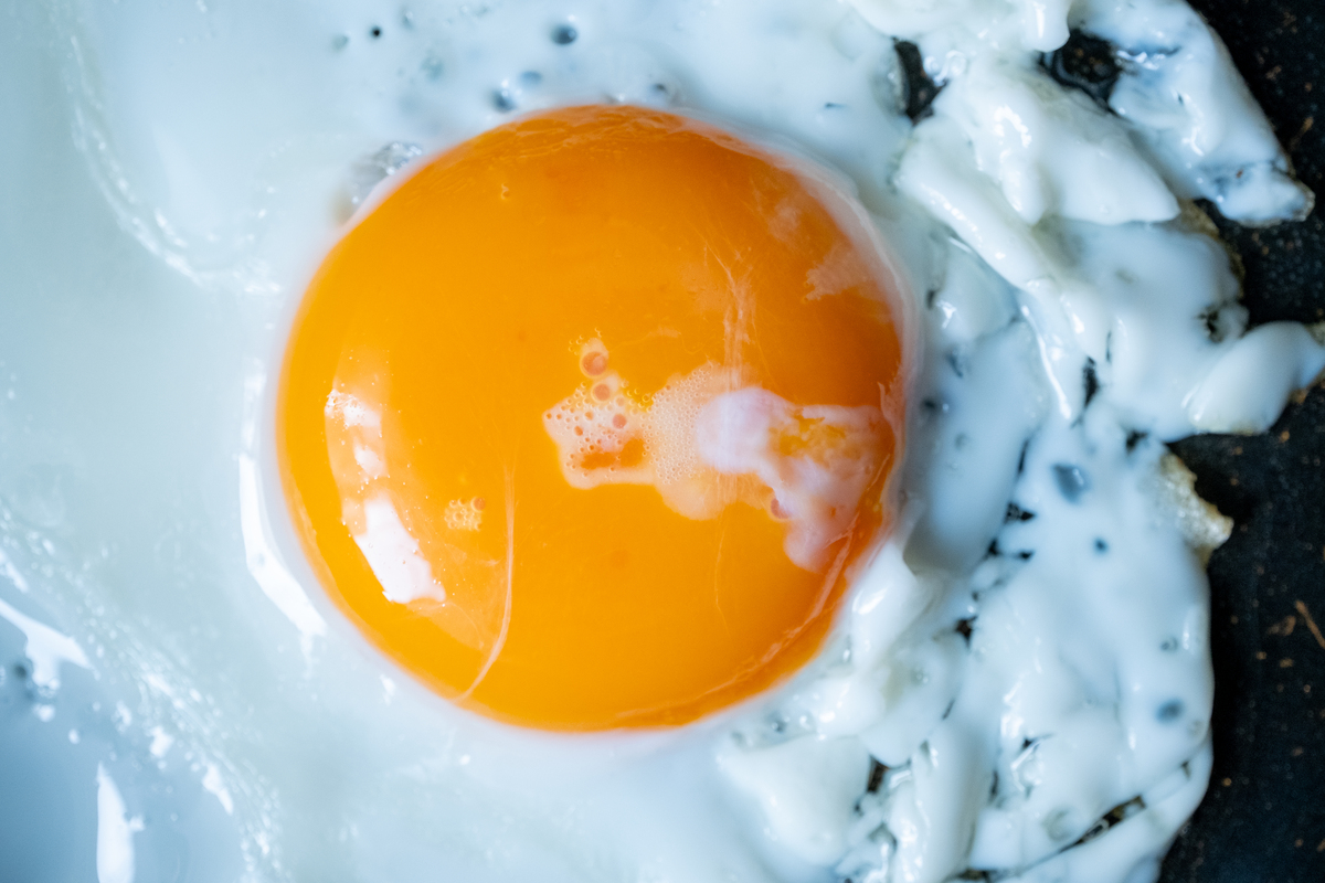 如何让母鸡生的鸡蛋只有蛋清没有蛋黄