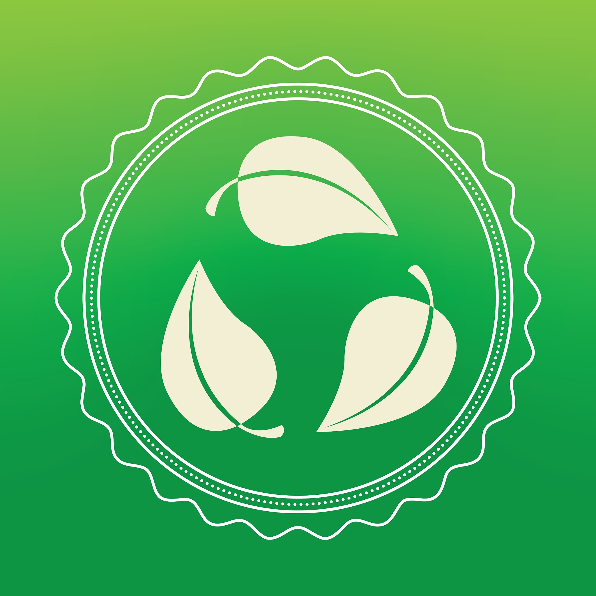 eco friendly